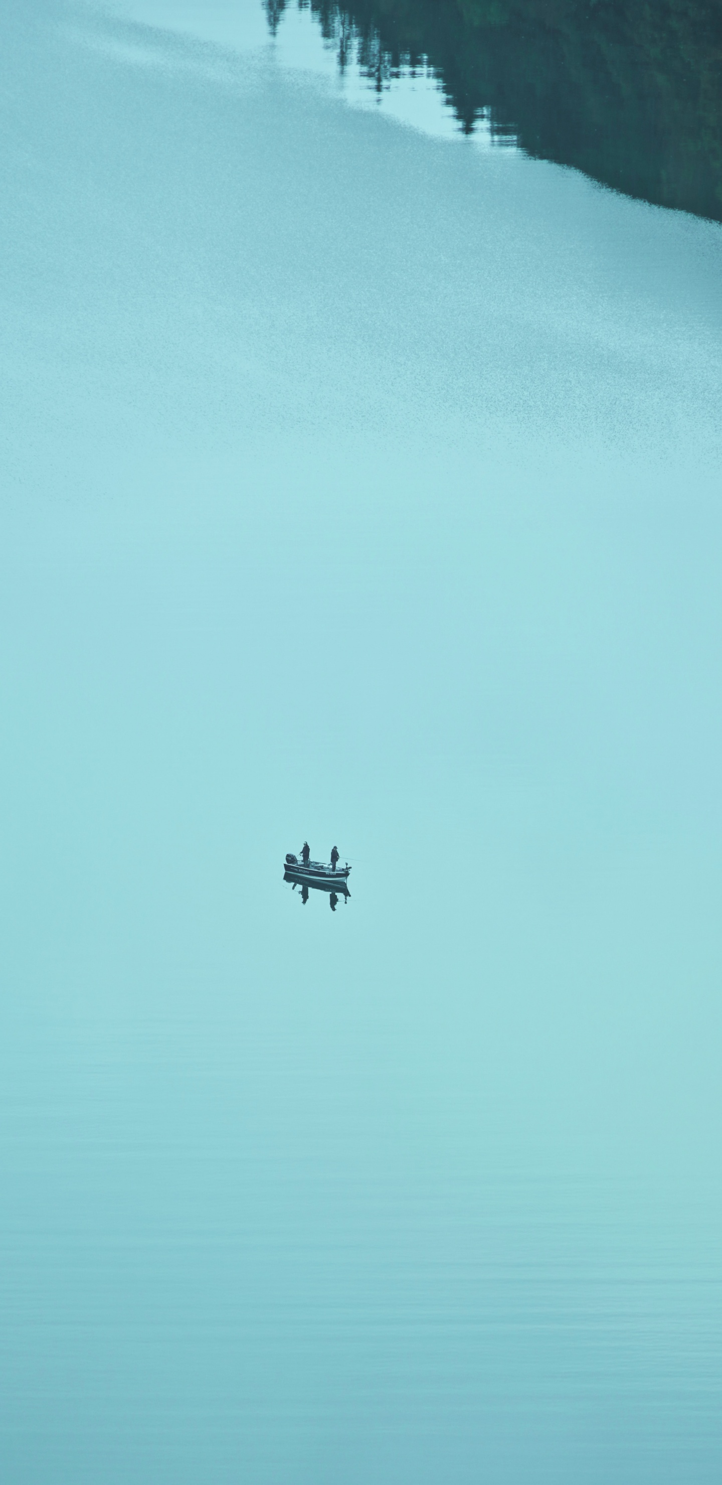 Airplane Flying Over The Sea During Daytime. Wallpaper in 1440x2960 Resolution