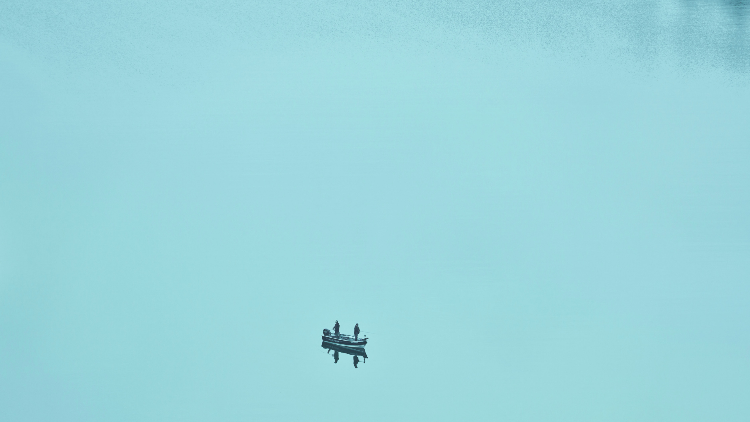 Airplane Flying Over The Sea During Daytime. Wallpaper in 2560x1440 Resolution