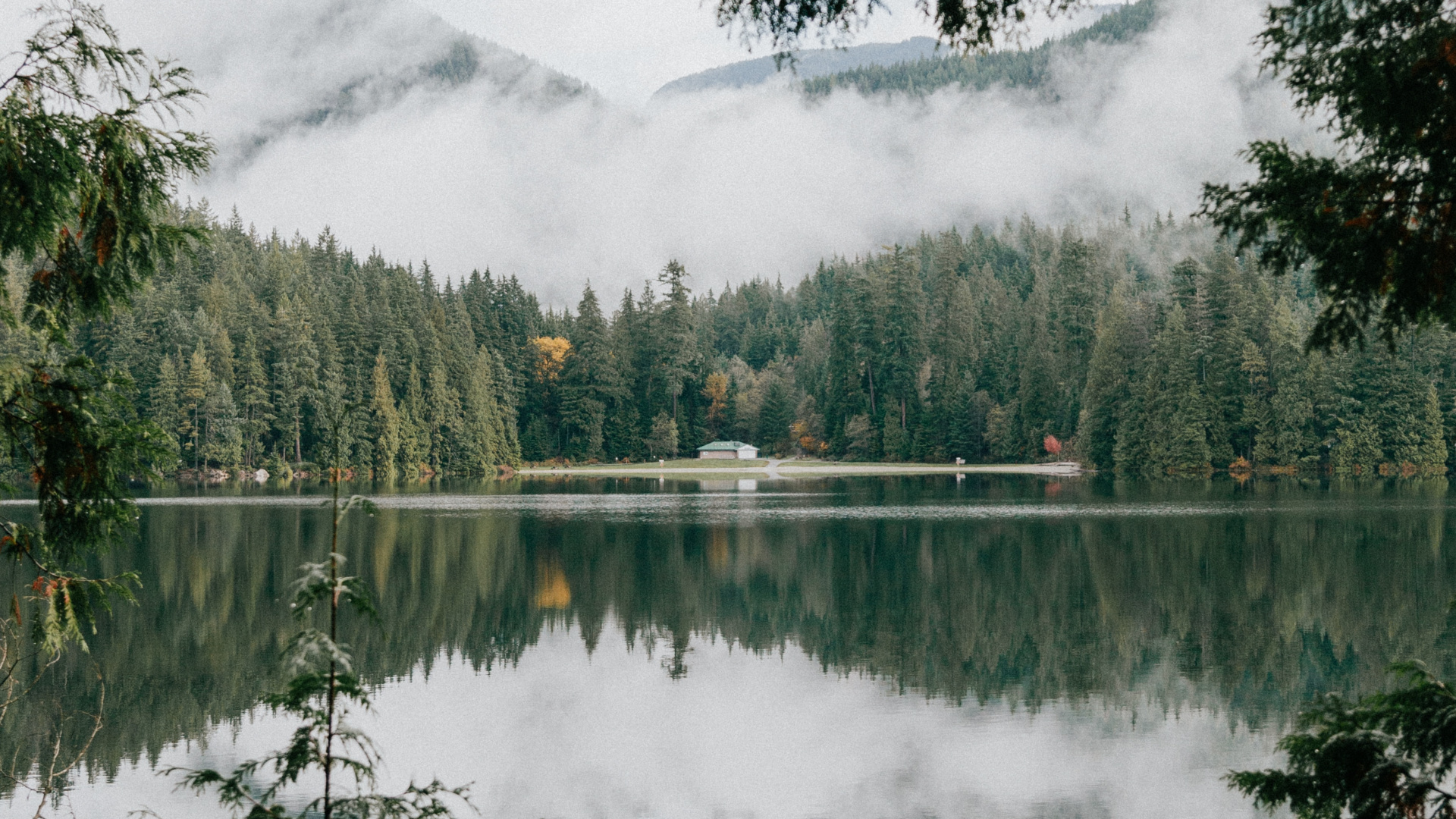 Sumpf, Teich, Naturschutzgebiet, Sasamat See, Vegetation. Wallpaper in 1920x1080 Resolution