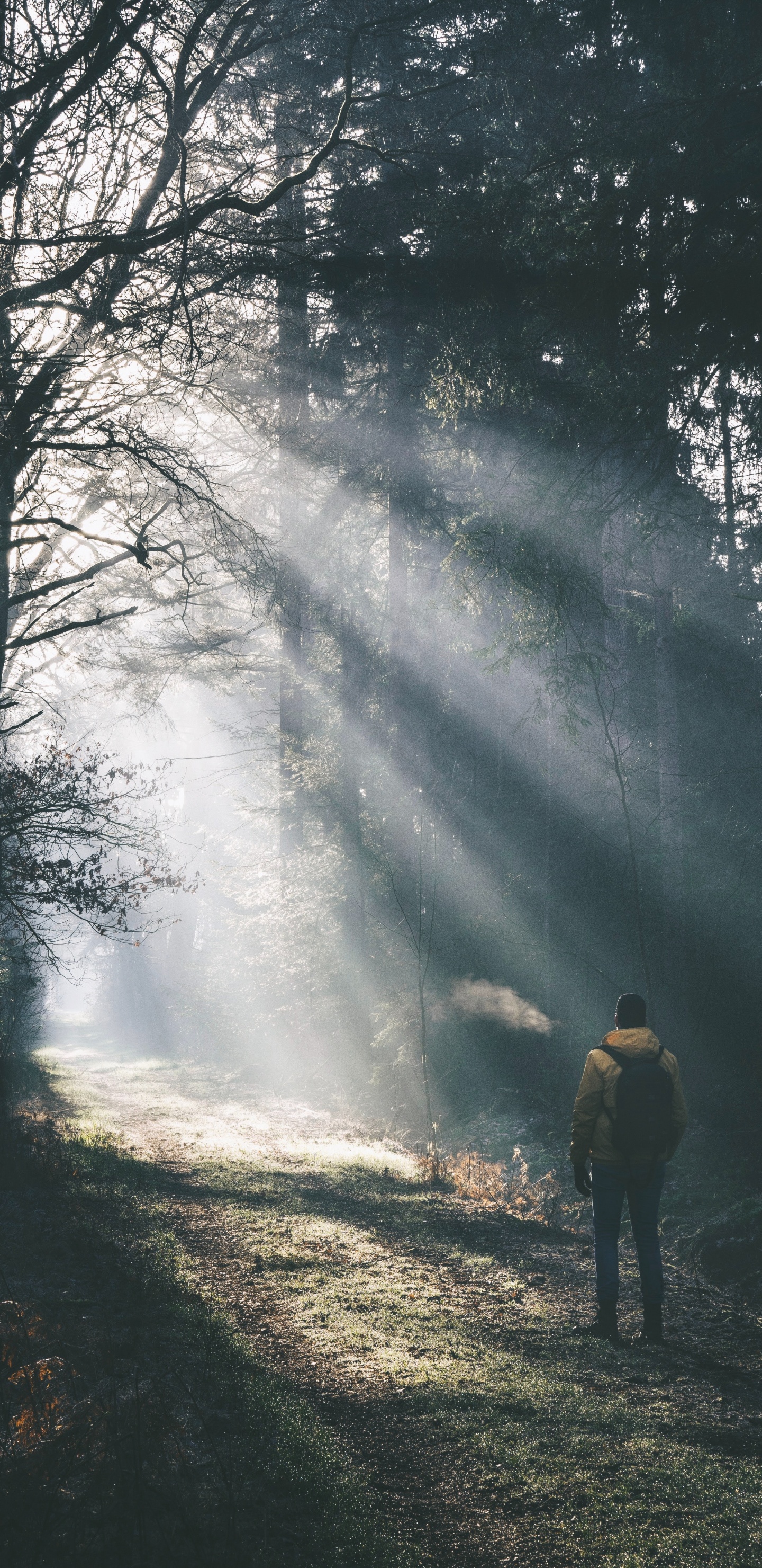 Man in Yellow Jacket Standing on Snow Covered Ground. Wallpaper in 1440x2960 Resolution