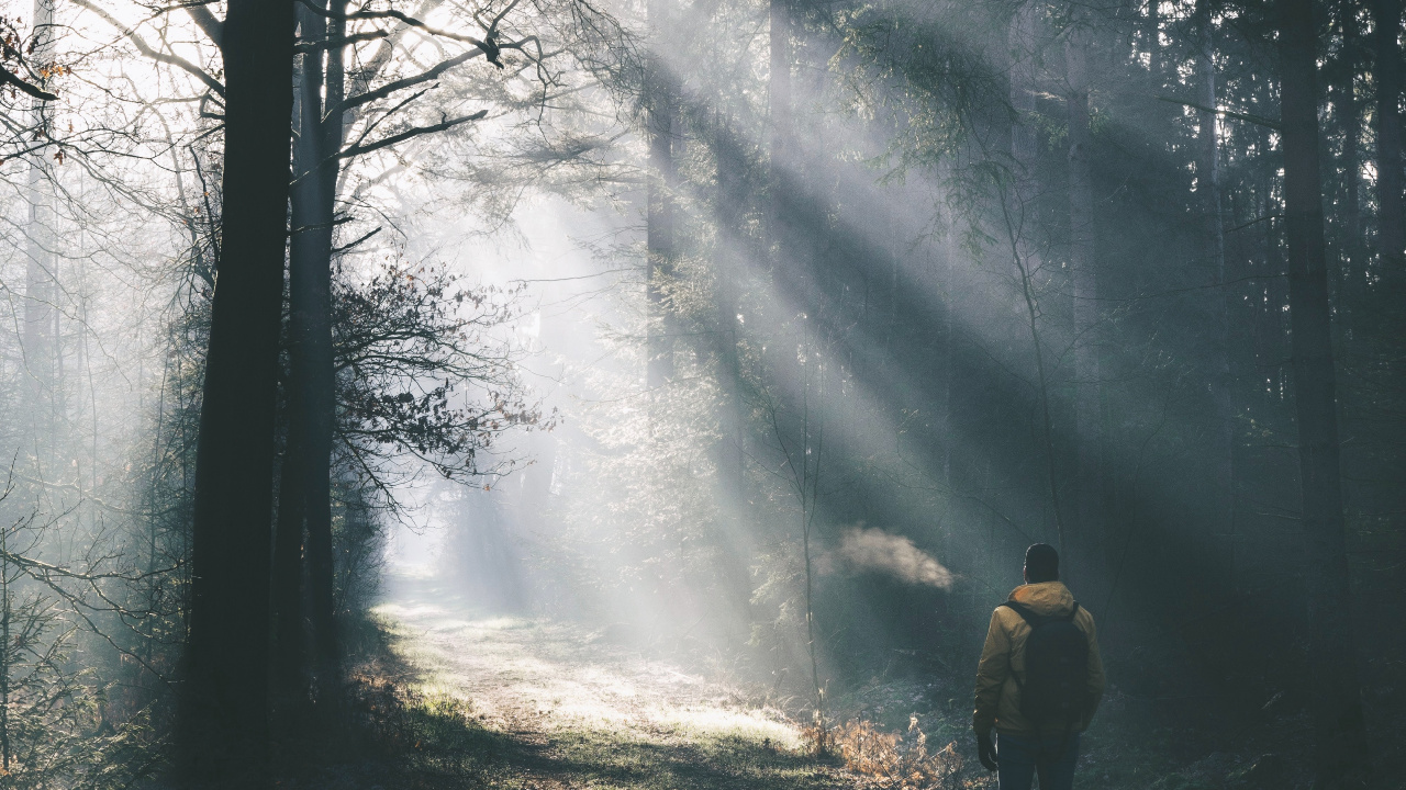 Mann in Gelber Jacke, Der Auf Schneebedecktem Boden Steht. Wallpaper in 1280x720 Resolution