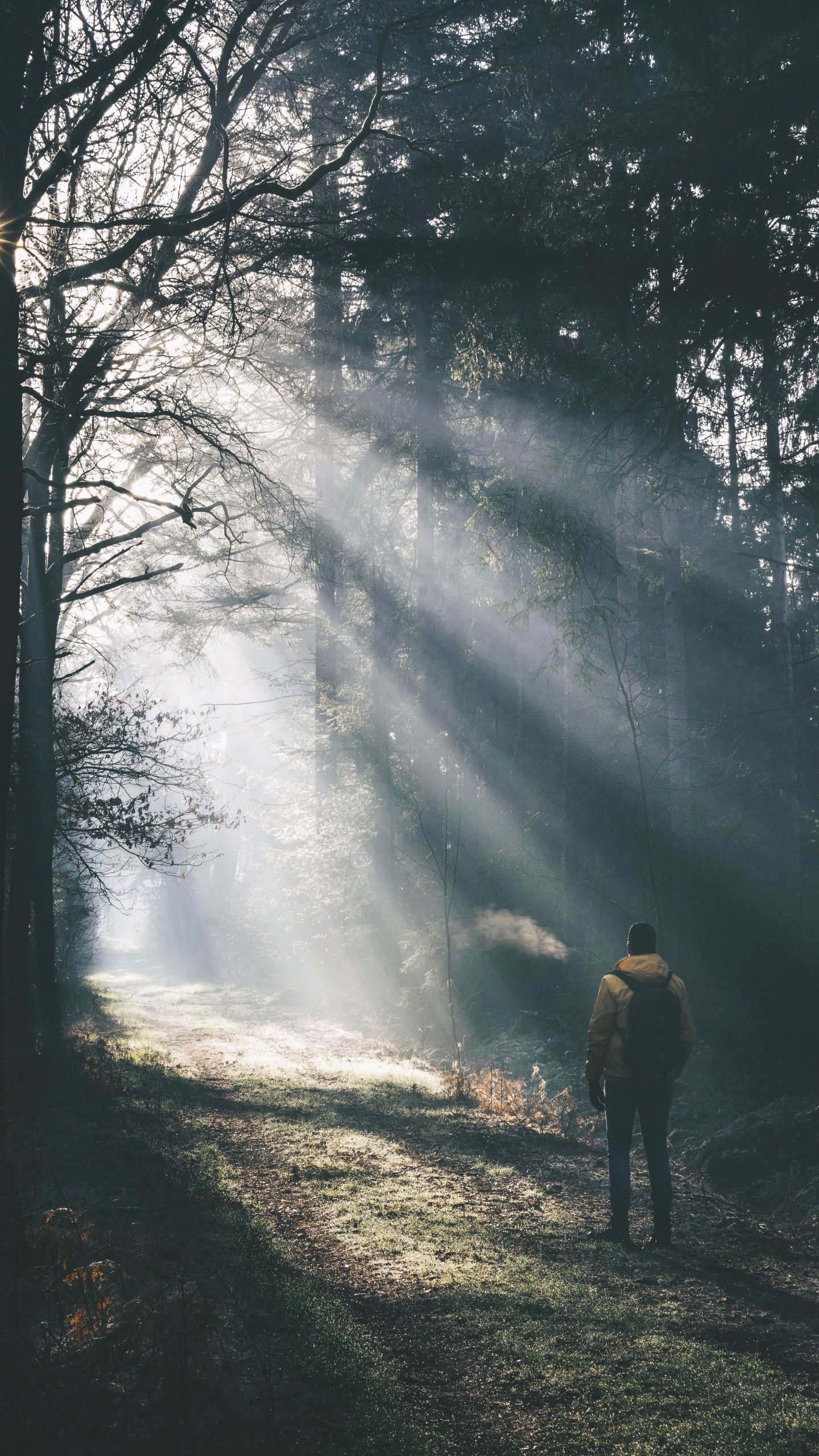 Mann in Gelber Jacke, Der Auf Schneebedecktem Boden Steht. Wallpaper in 1440x2560 Resolution