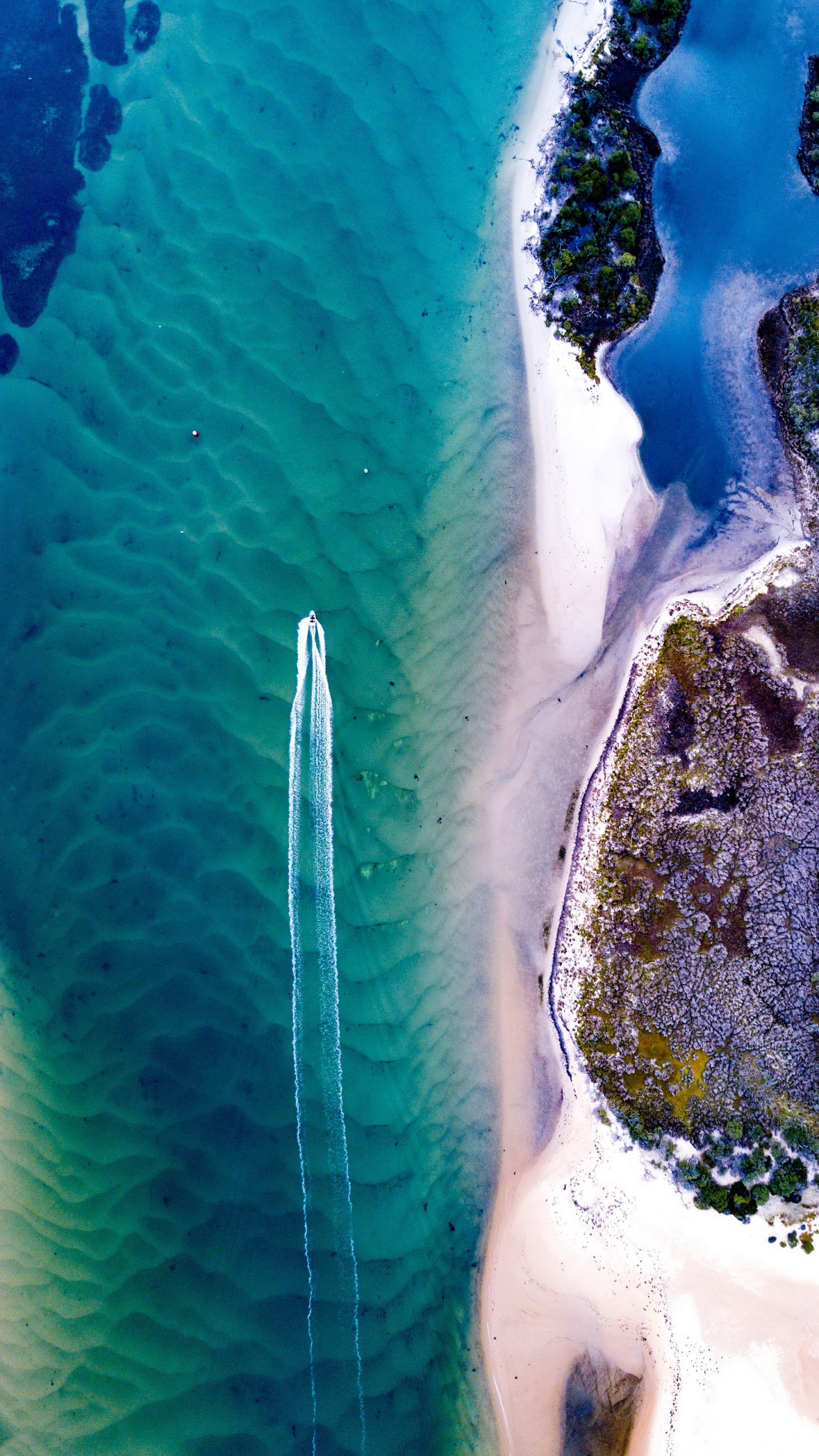 Agua, Biología Marina, Mar, Ciencia, Los Recursos de Agua. Wallpaper in 1440x2560 Resolution