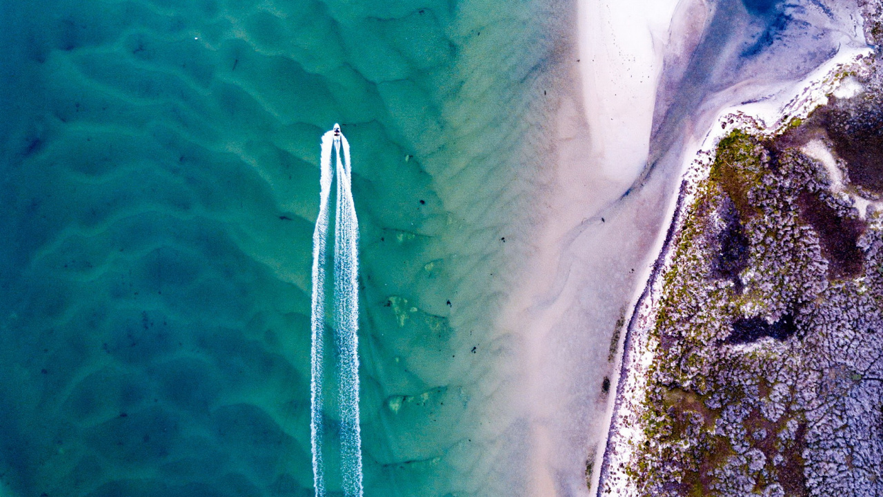 海洋生物学, 大海, 科学, 水资源, 液体 壁纸 1280x720 允许