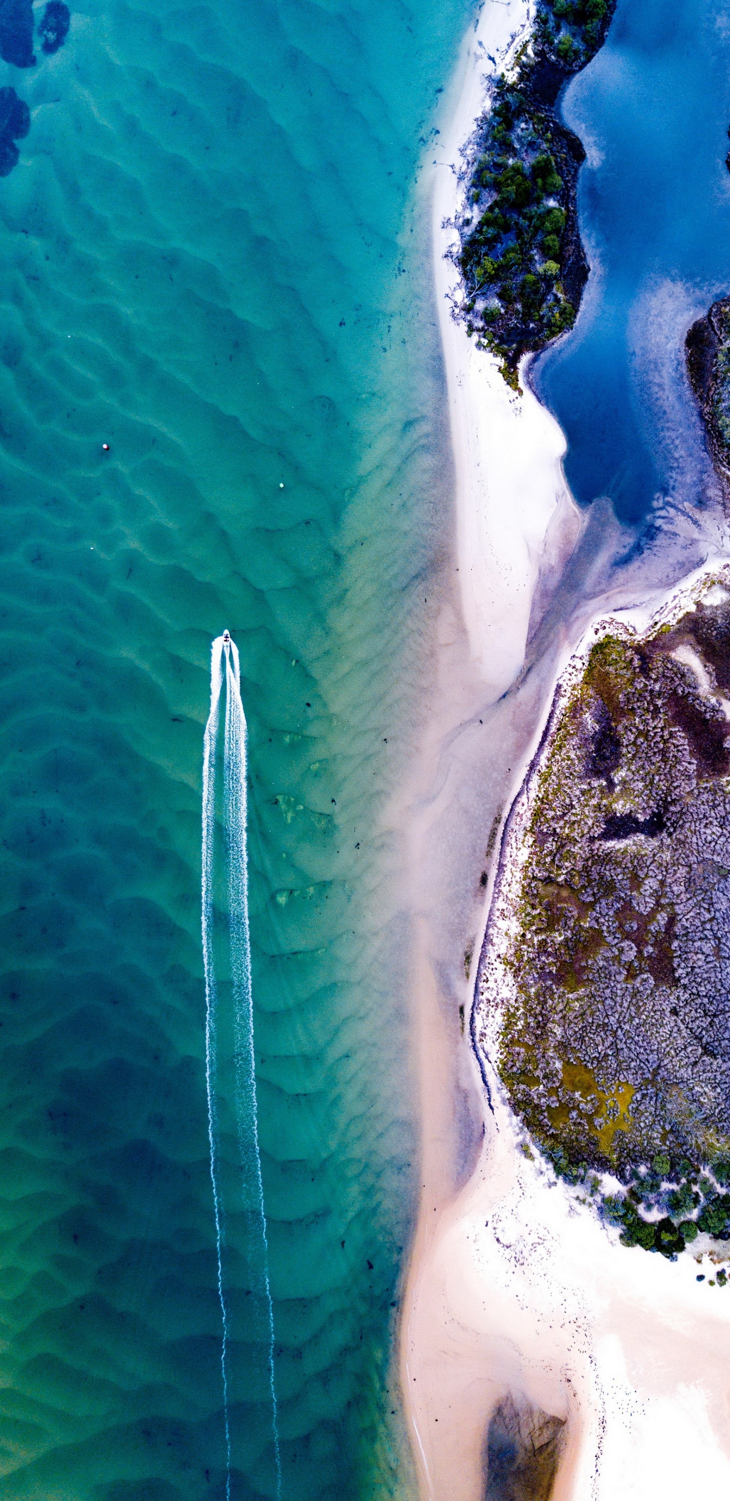 海洋生物学, 大海, 科学, 水资源, 液体 壁纸 1440x2960 允许