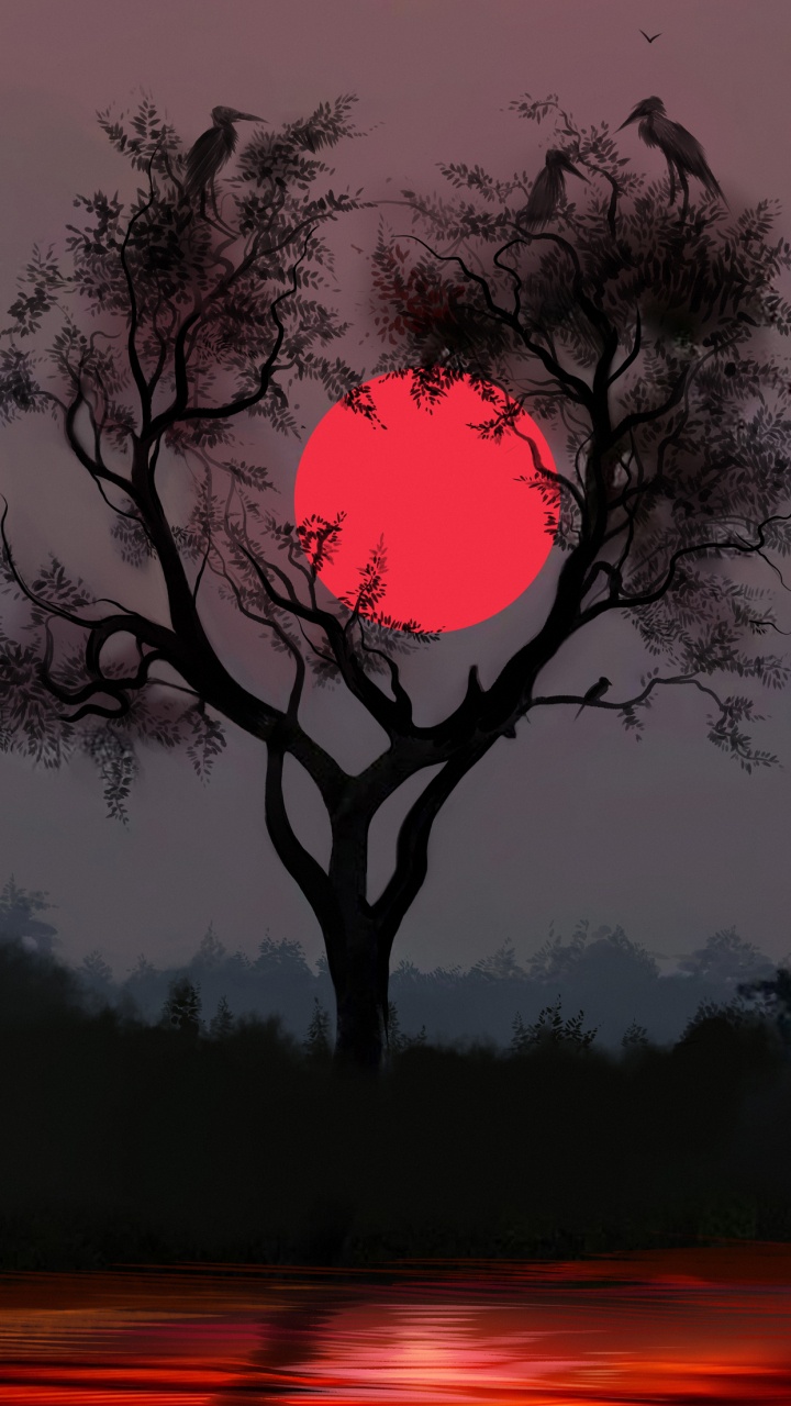 Nature, Botica Jan Noorduyn, Atmosphere, Plant, Ecoregion. Wallpaper in 720x1280 Resolution