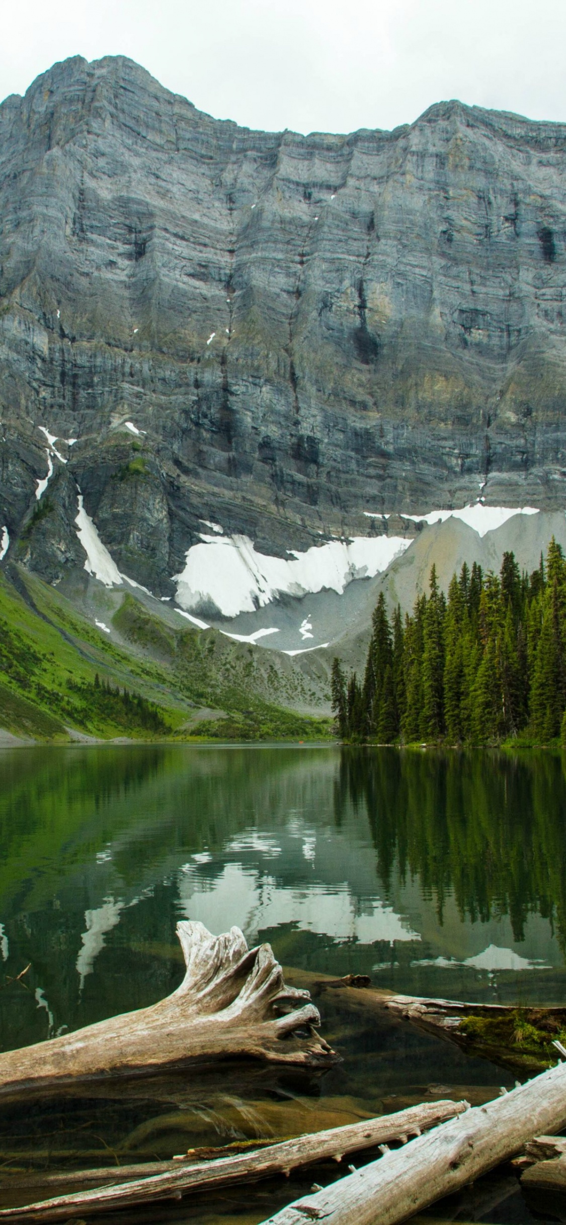 Lac Près Des Arbres Verts et de la Montagne Pendant la Journée. Wallpaper in 1125x2436 Resolution