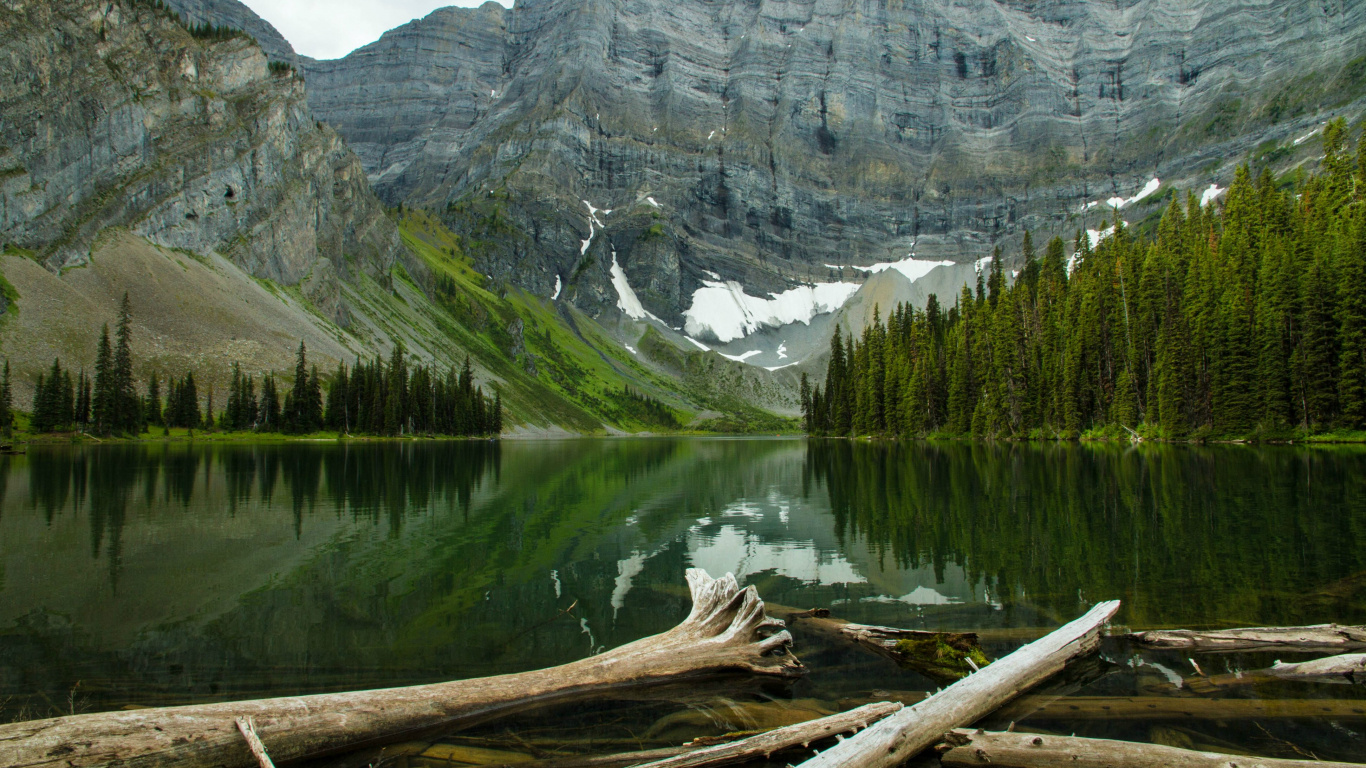 Lac Près Des Arbres Verts et de la Montagne Pendant la Journée. Wallpaper in 1366x768 Resolution