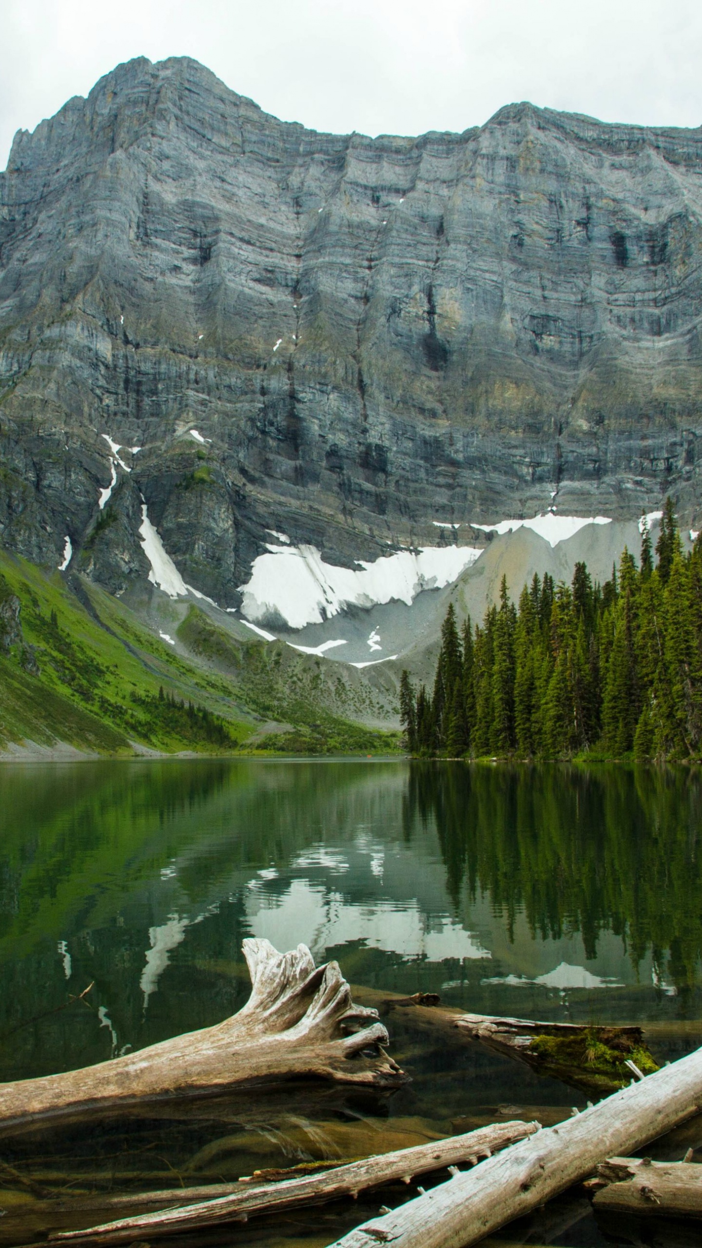 Lac Près Des Arbres Verts et de la Montagne Pendant la Journée. Wallpaper in 1440x2560 Resolution