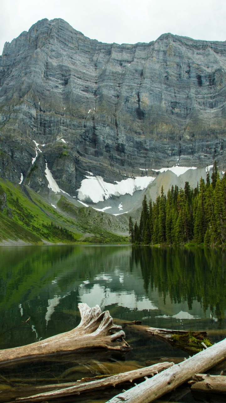 Lac Près Des Arbres Verts et de la Montagne Pendant la Journée. Wallpaper in 720x1280 Resolution