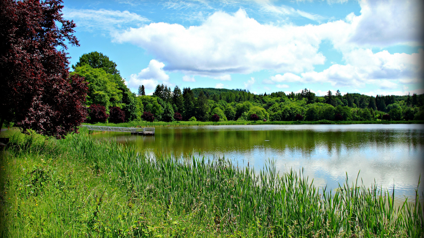 Green Grass Near Lake Under Blue Sky During Daytime. Wallpaper in 1366x768 Resolution