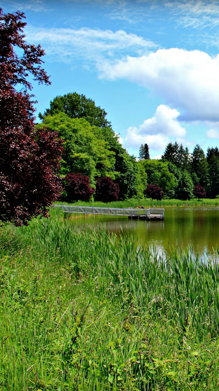 Green Grass Near Lake Under Blue Sky During Daytime. Wallpaper in 750x1334 Resolution
