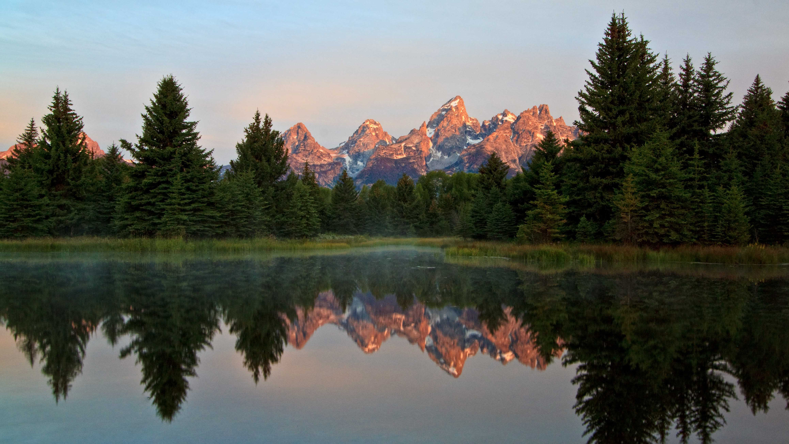 Green Trees Near Lake and Mountain During Daytime. Wallpaper in 2560x1440 Resolution