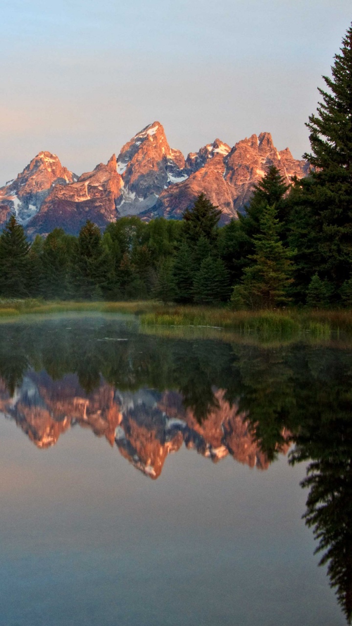 Green Trees Near Lake and Mountain During Daytime. Wallpaper in 720x1280 Resolution