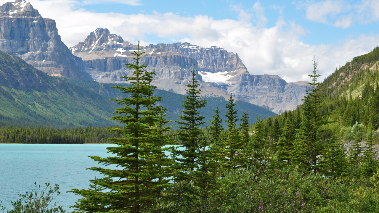 Green Pine Trees Near Snow Covered Mountain During Daytime. Wallpaper in 1280x720 Resolution