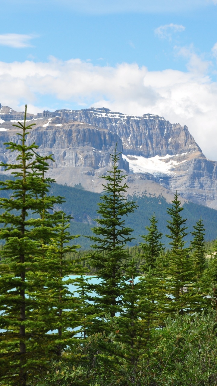 Green Pine Trees Near Snow Covered Mountain During Daytime. Wallpaper in 720x1280 Resolution