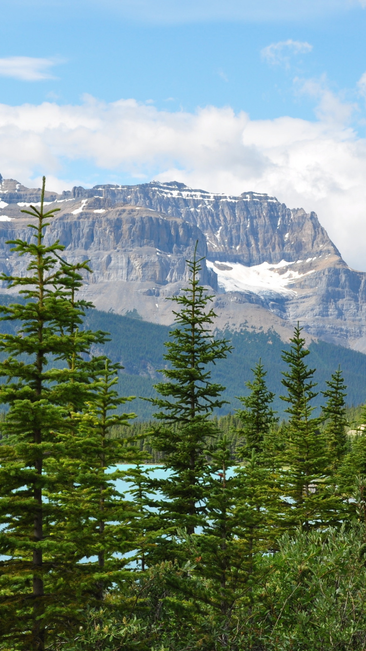 Green Pine Trees Near Snow Covered Mountain During Daytime. Wallpaper in 750x1334 Resolution