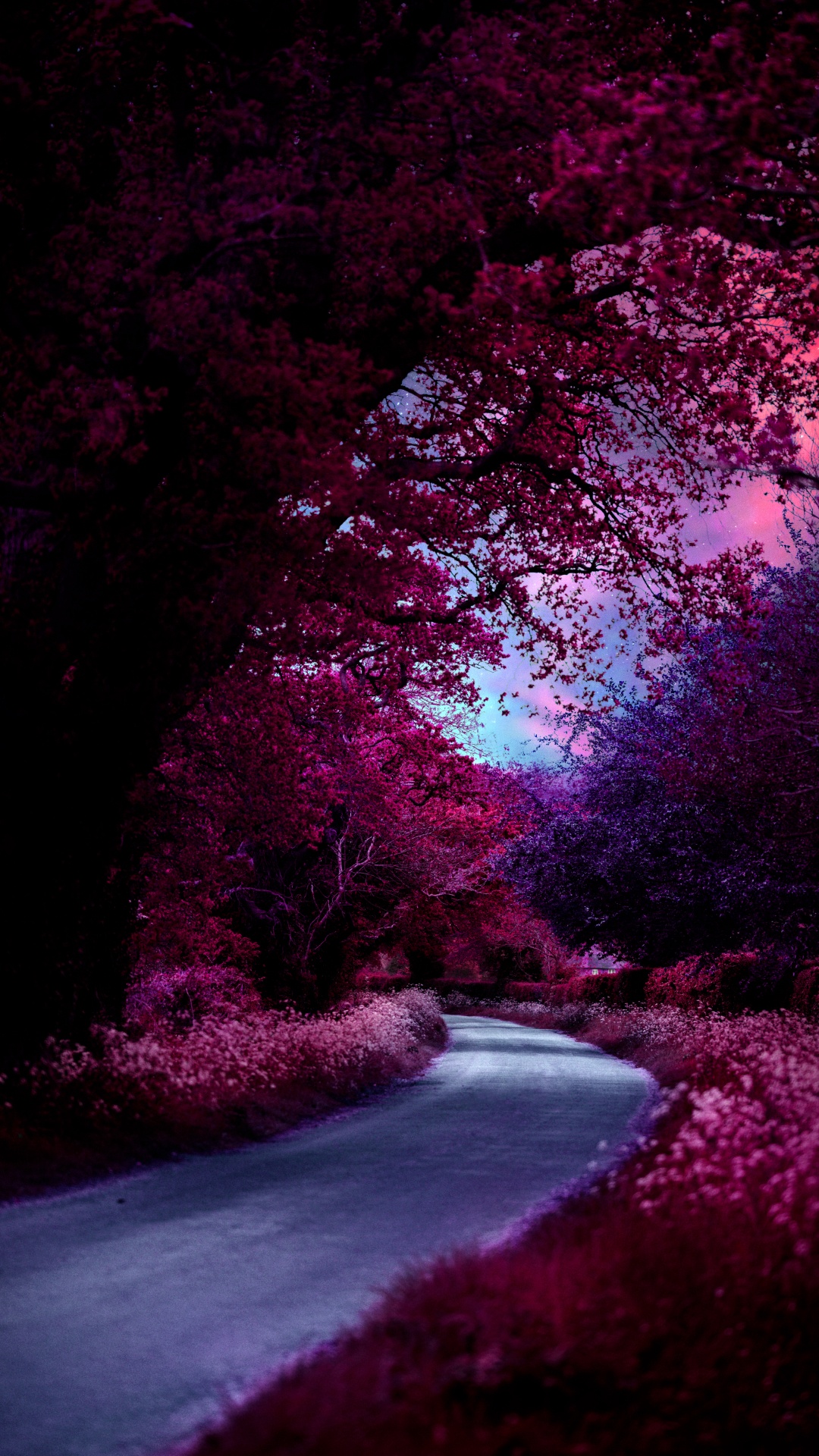 性质, 紫色的, 自然景观, 粉红色 壁纸 1080x1920 允许