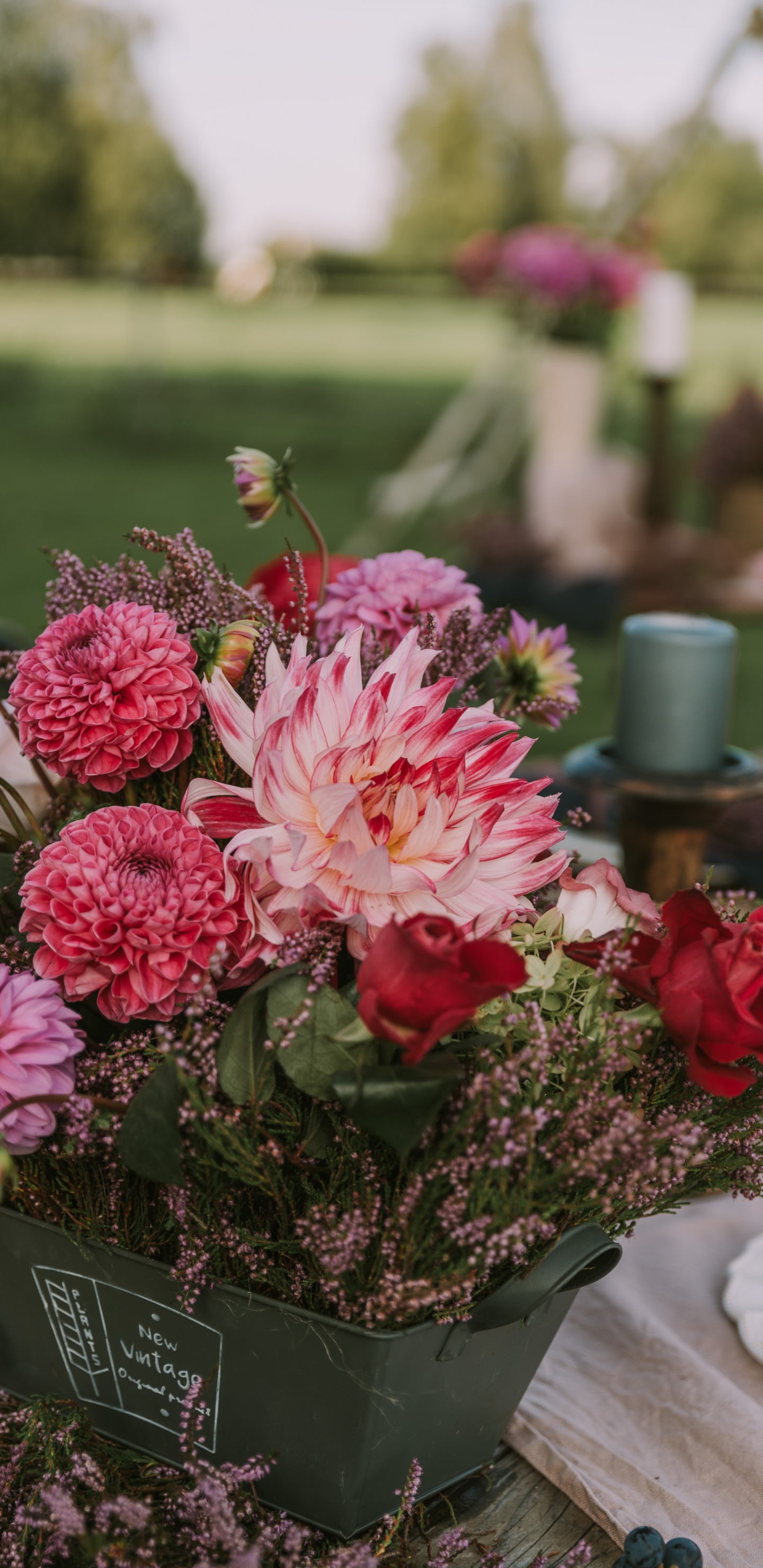 Pink Flowers in Green Ceramic Vase. Wallpaper in 1440x2960 Resolution