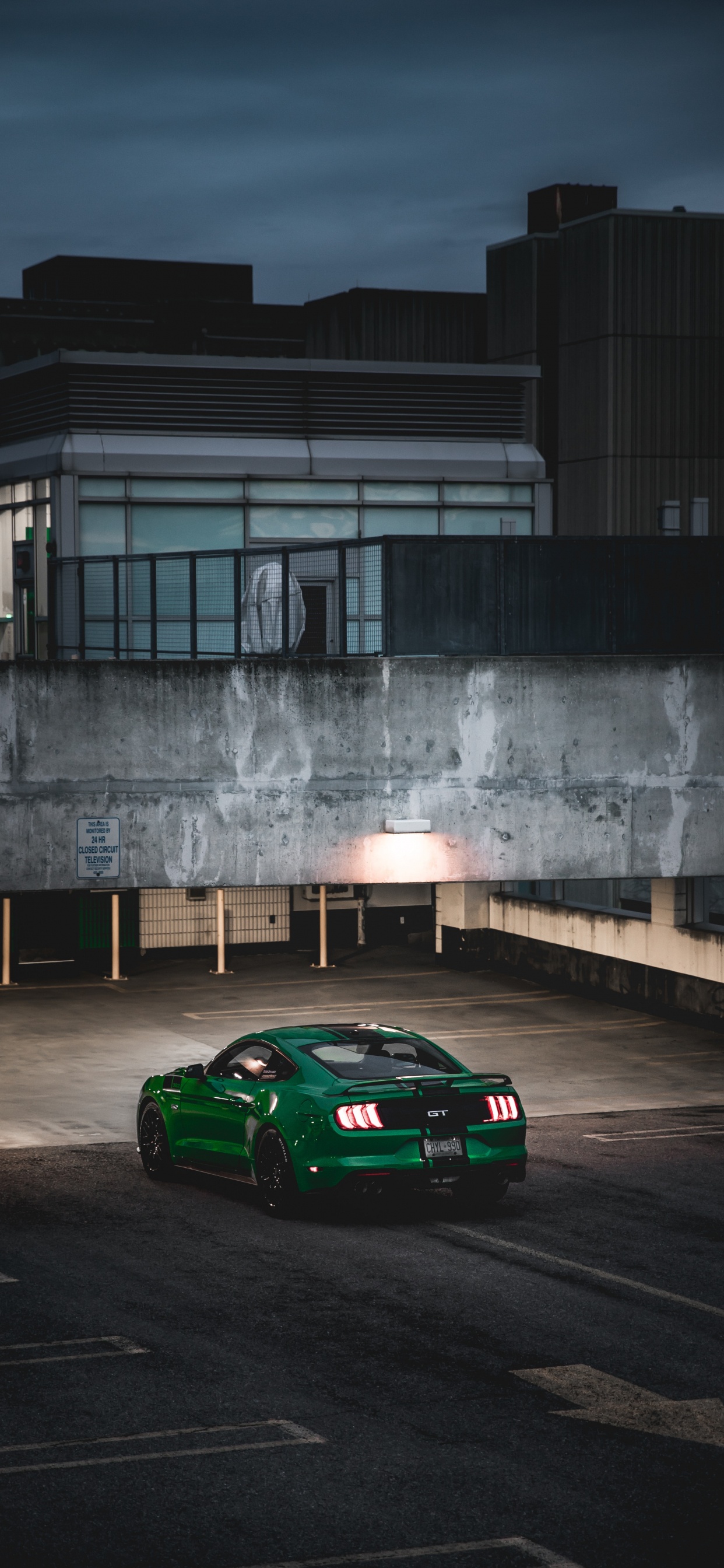 Ford Mustang, Ford, Cars, Sports Car, Ford Motor Company. Wallpaper in 1242x2688 Resolution