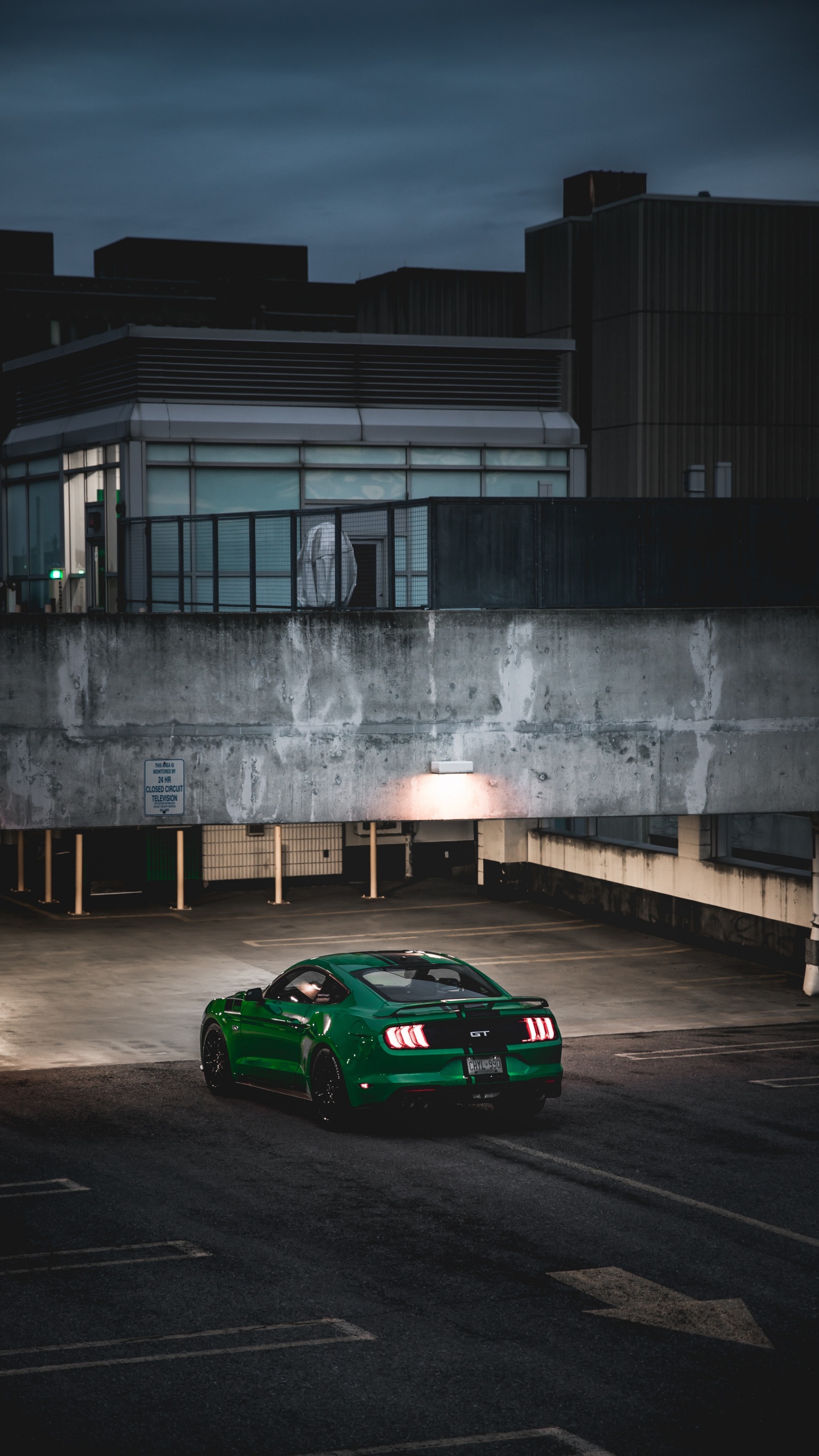 Ford Mustang, Ford, Cars, Sports Car, Ford Motor Company. Wallpaper in 1440x2560 Resolution