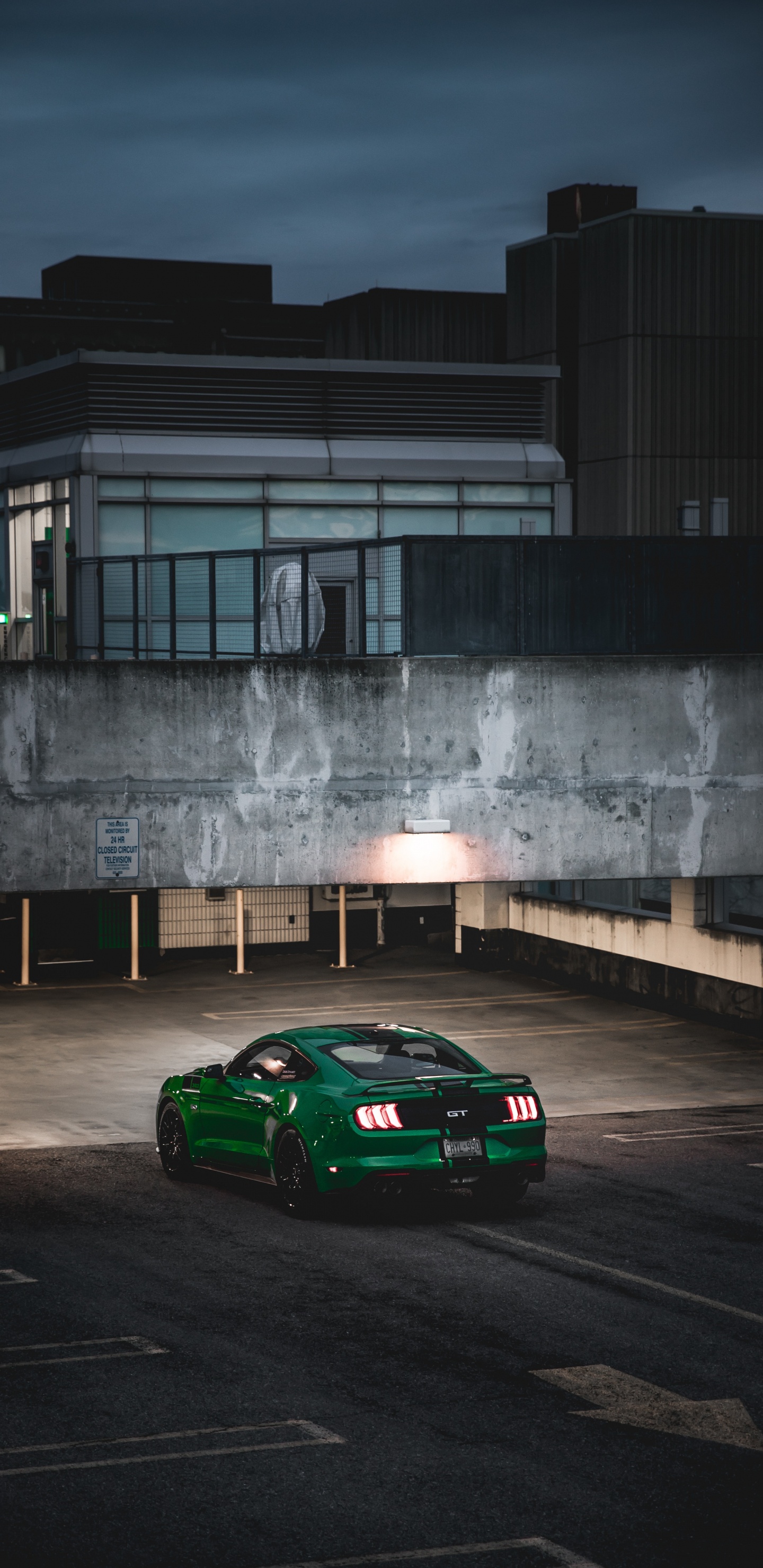 Ford Mustang, Ford, Cars, Sports Car, Ford Motor Company. Wallpaper in 1440x2960 Resolution
