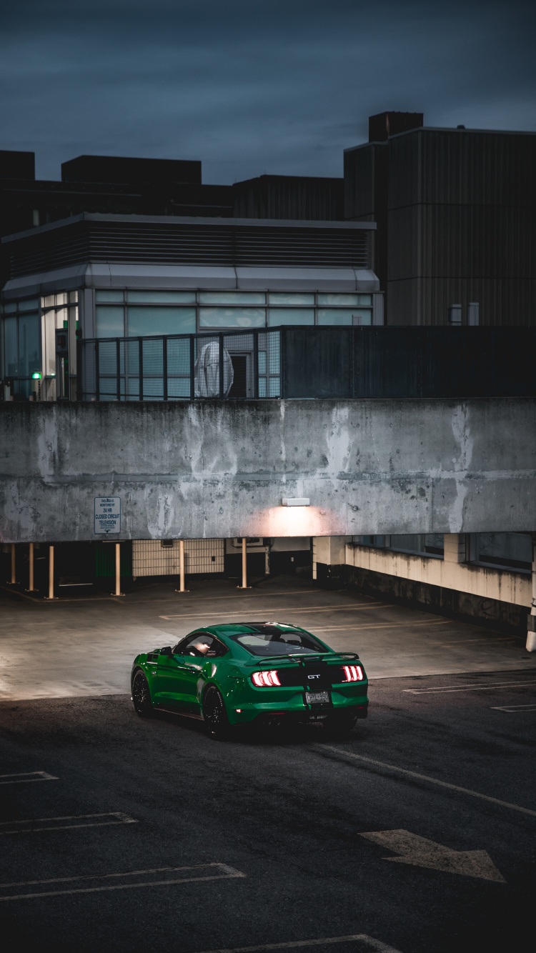 Download wallpapers 4k, Need For Speed Payback, Ford Mustang RTR, 2017  games, Noise Bomb, NFSP, autosimulator, Need For Speed for desktop free.  Pictures for desktop free