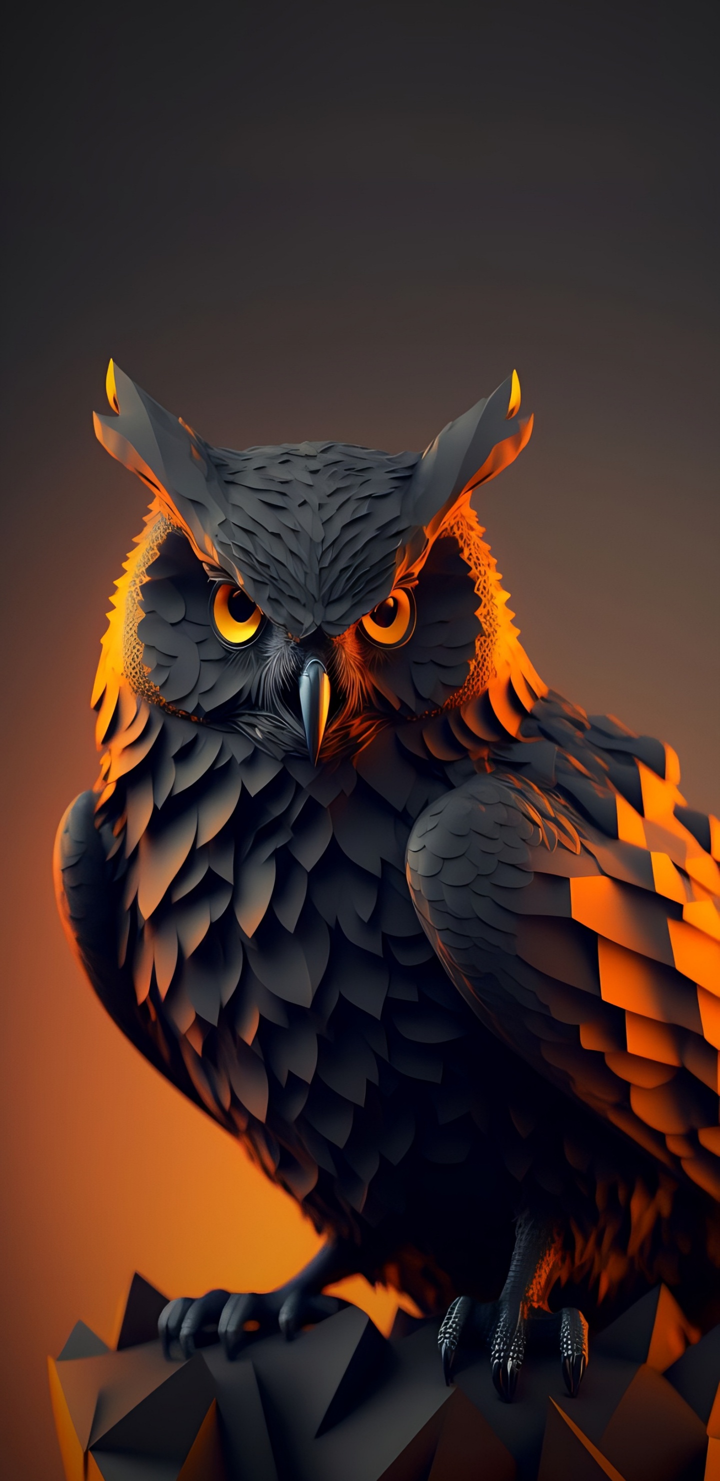 Búho, Snowy Owl, Falconiformes, Cabeza, Ave. Wallpaper in 1440x2960 Resolution