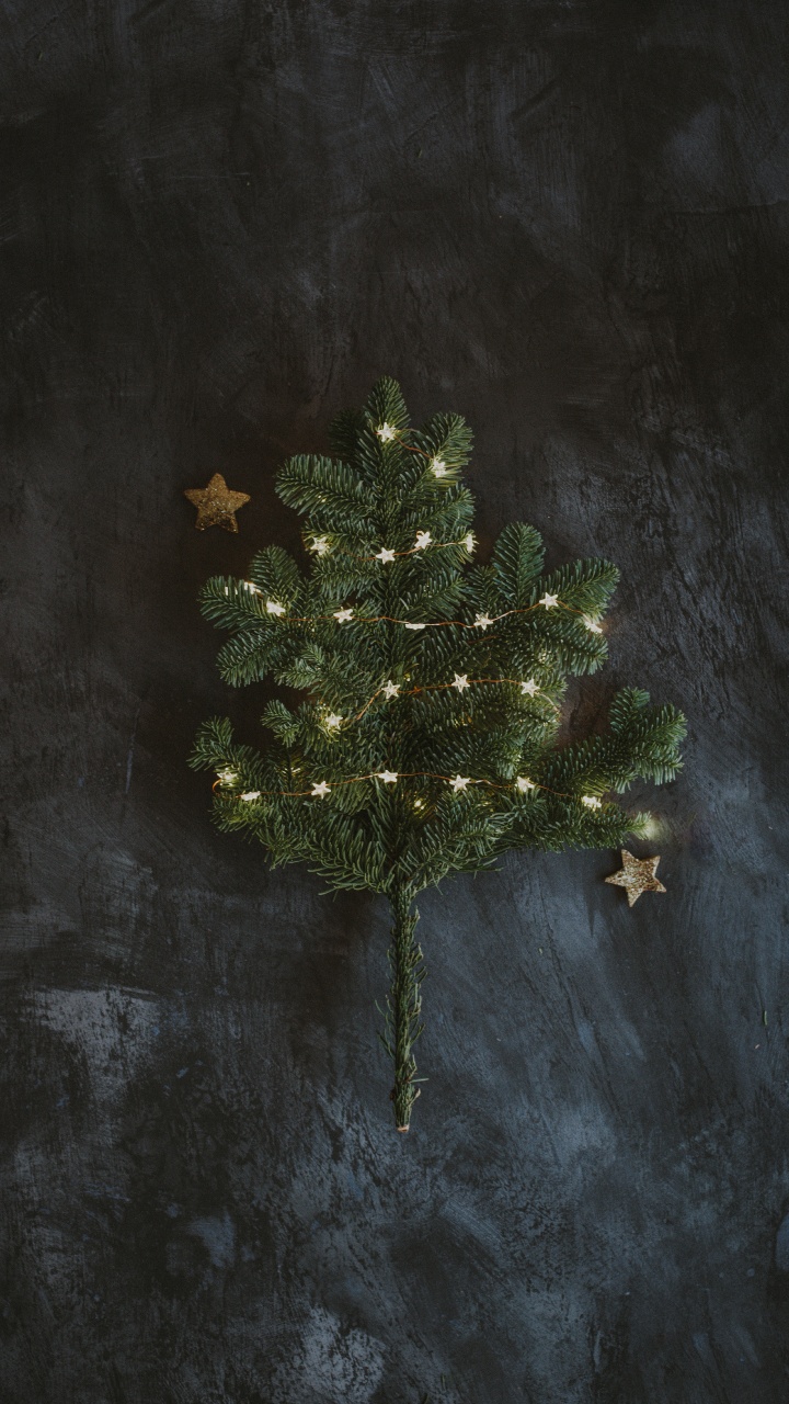 Baum, Branch, Raum, Textur, Weihnachten. Wallpaper in 720x1280 Resolution