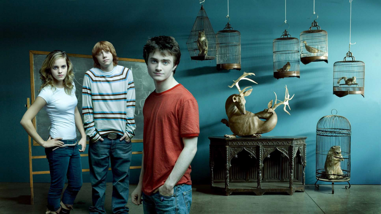 Junge im Weiß-schwarz Gestreiften Langarmhemd Steht Neben Dem Jungen im Roten Pullover. Wallpaper in 1280x720 Resolution