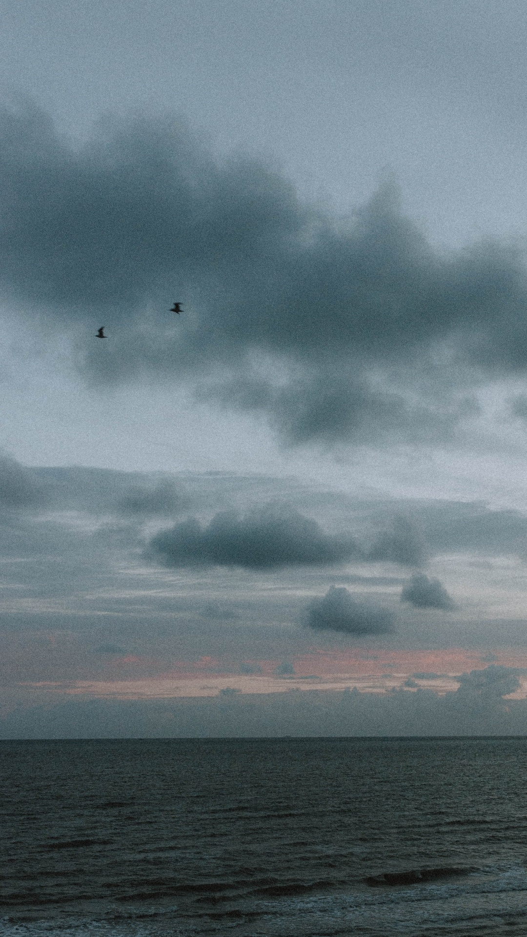 Sea, Cloud, Water, Atmosphere, Bird. Wallpaper in 1080x1920 Resolution