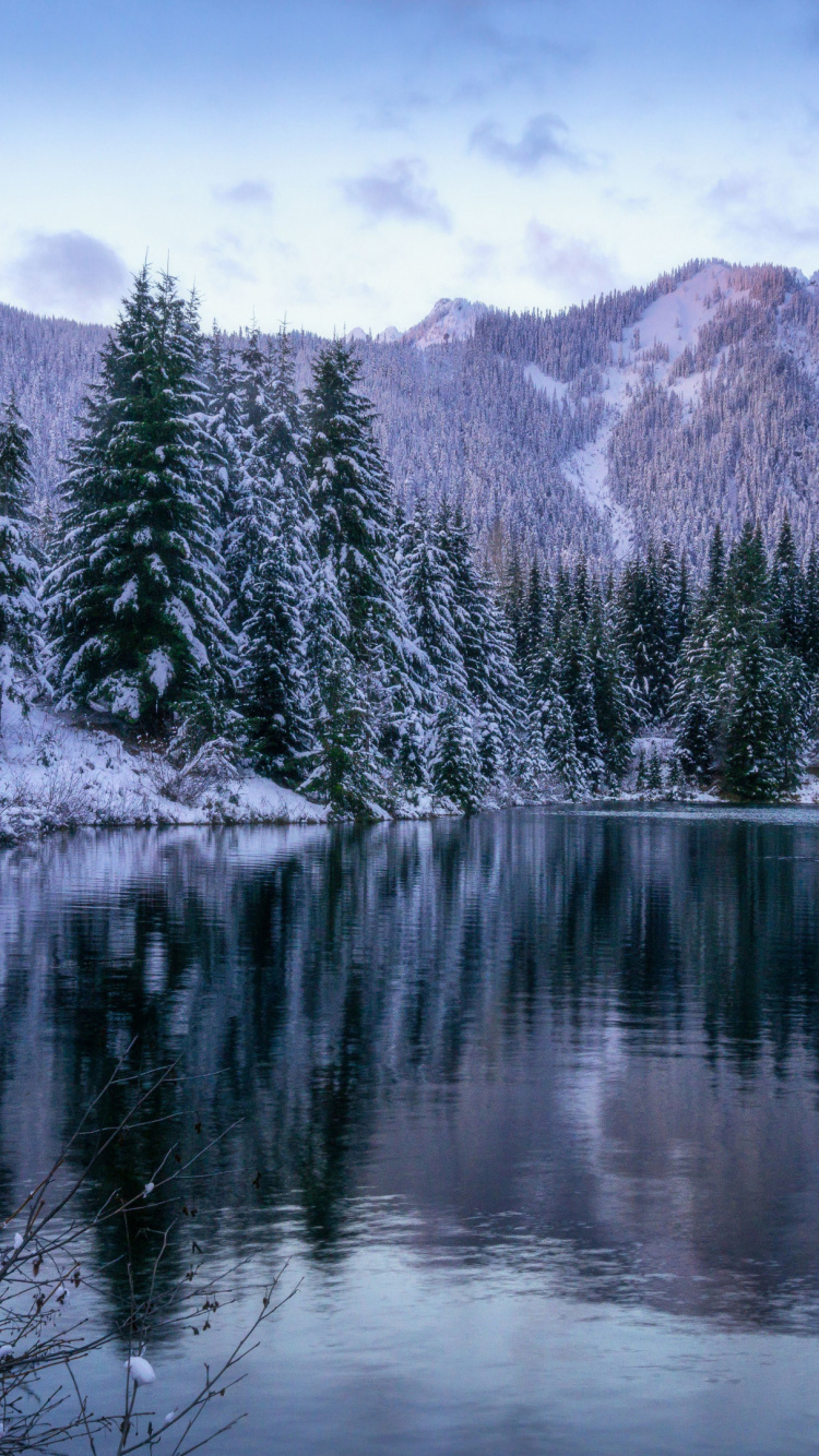 Winter Washington Cascade Mountains, North Cascades, Mount Rainier, Diablo Lake, Mount Shuksan. Wallpaper in 750x1334 Resolution