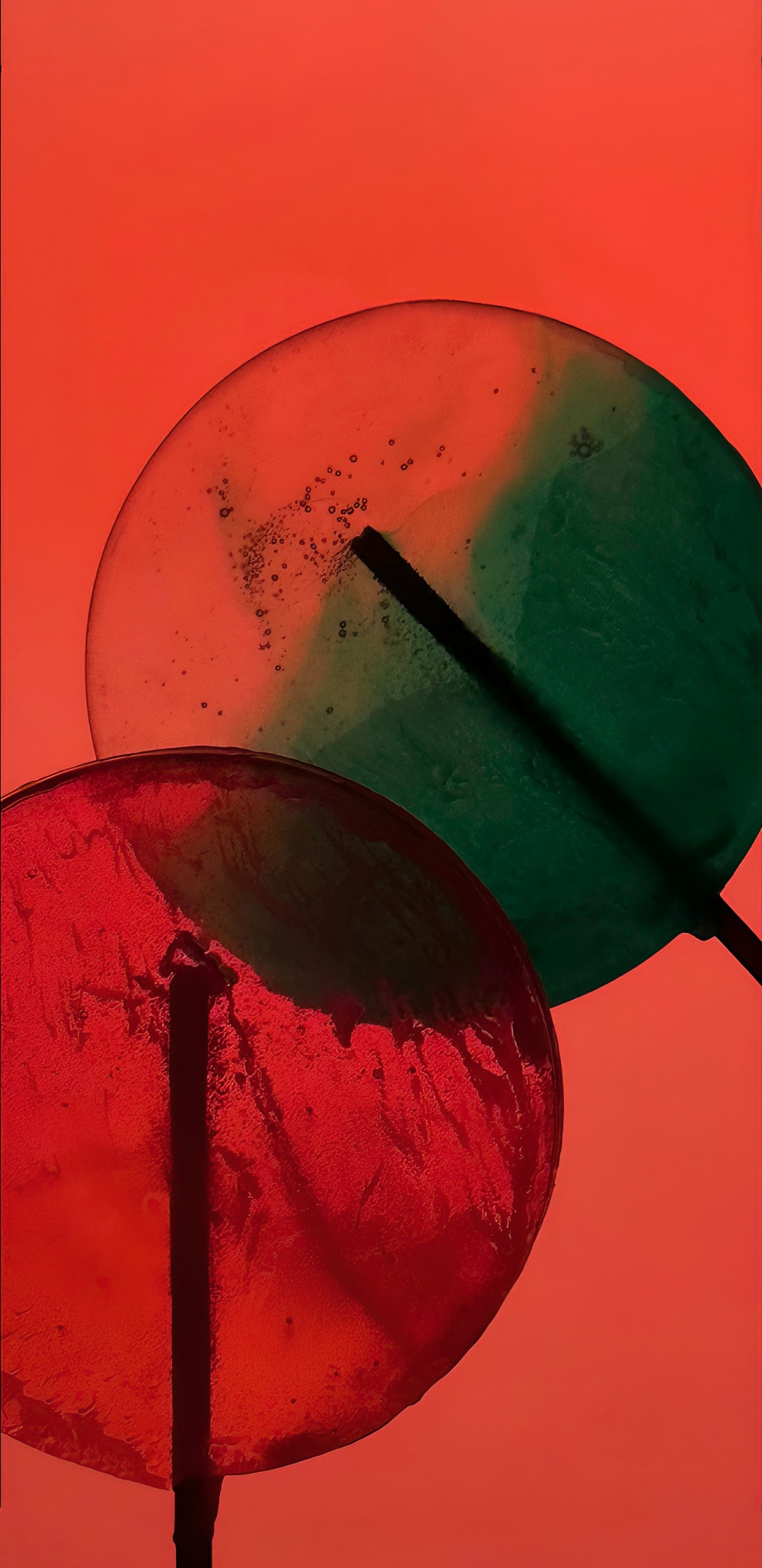 IPhone 14, IPhone 14 Pro, Äpfeln, Smartphone, Raum Schwarz. Wallpaper in 1440x2960 Resolution