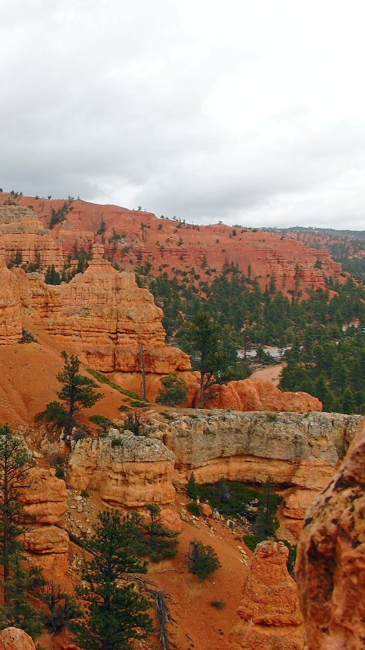 Brown Rock Formation Under White Clouds During Daytime. Wallpaper in 750x1334 Resolution