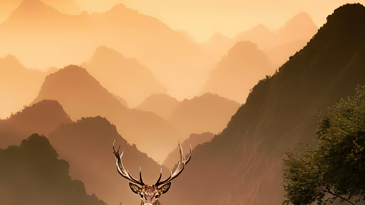 Mountain, Ecoregion, Natural Landscape, Natural Environment, Highland. Wallpaper in 1280x720 Resolution