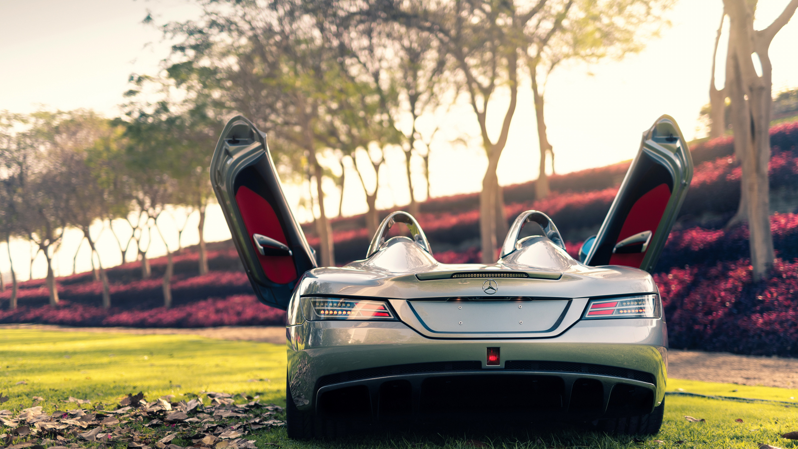 Voiture Ferrari Noir et Rouge Sur Terrain D'herbe Verte Pendant la Journée. Wallpaper in 2560x1440 Resolution