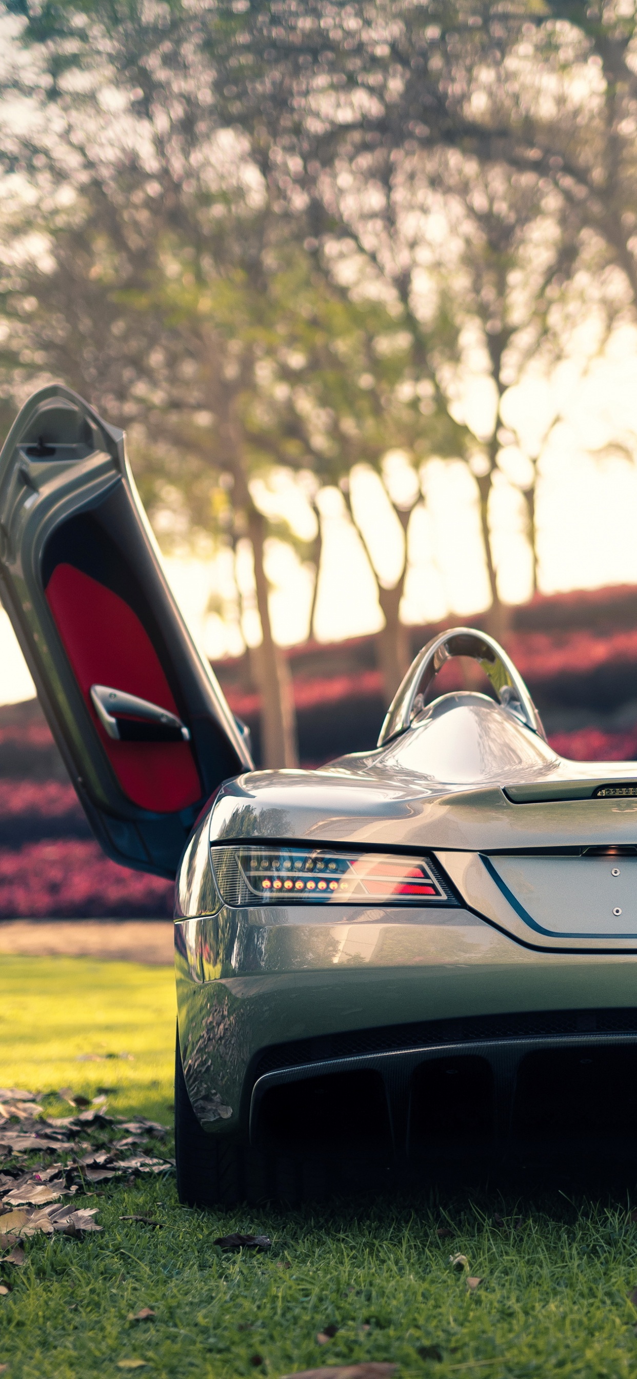 Black and Red Ferrari Car on Green Grass Field During Daytime. Wallpaper in 1242x2688 Resolution