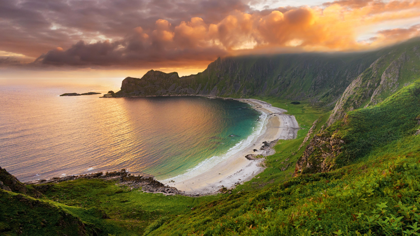 Green Trees Beside Body of Water During Daytime. Wallpaper in 1366x768 Resolution