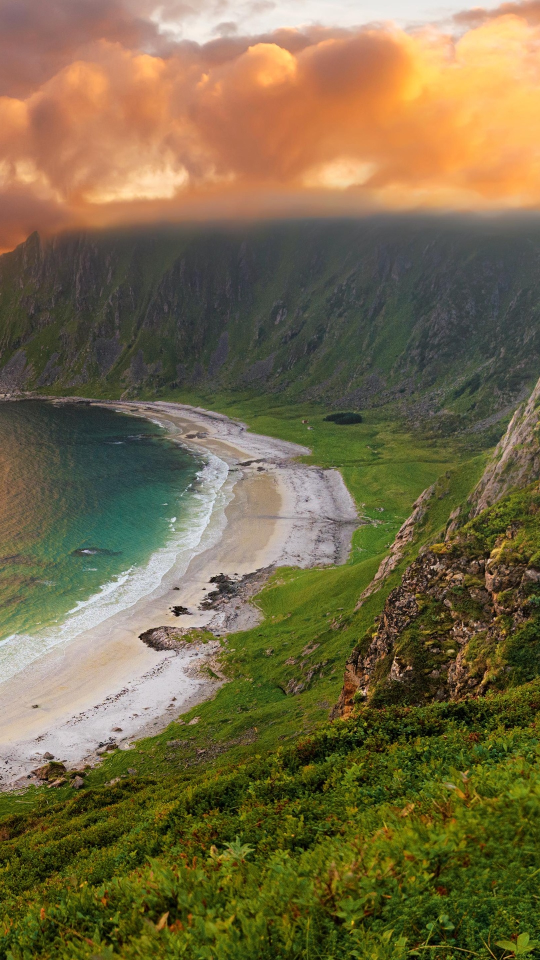 Árboles Verdes Junto al Cuerpo de Agua Durante el Día. Wallpaper in 1080x1920 Resolution