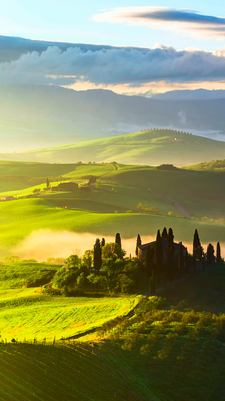 Grüne Wiese Unter Weißen Wolken Und Blauem Himmel Tagsüber. Wallpaper in 750x1334 Resolution