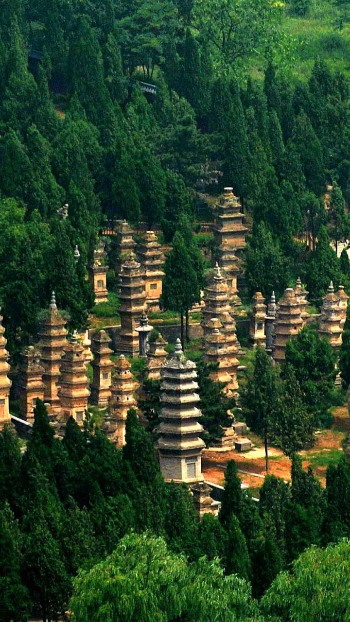 Weißes Und Braunes Betongebäude, Tagsüber Von Grünen Bäumen Umgeben. Wallpaper in 720x1280 Resolution