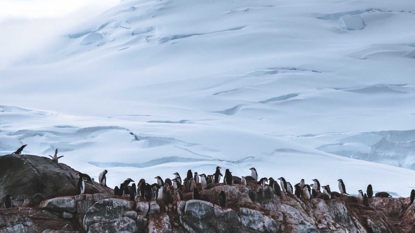 Formation de Roche Brune Sous Des Nuages Blancs Pendant la Journée. Wallpaper in 1366x768 Resolution