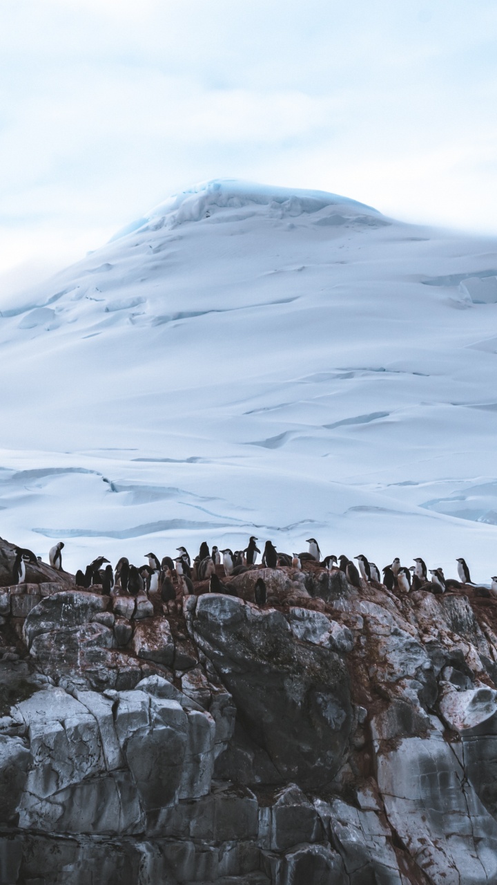 Formation de Roche Brune Sous Des Nuages Blancs Pendant la Journée. Wallpaper in 720x1280 Resolution