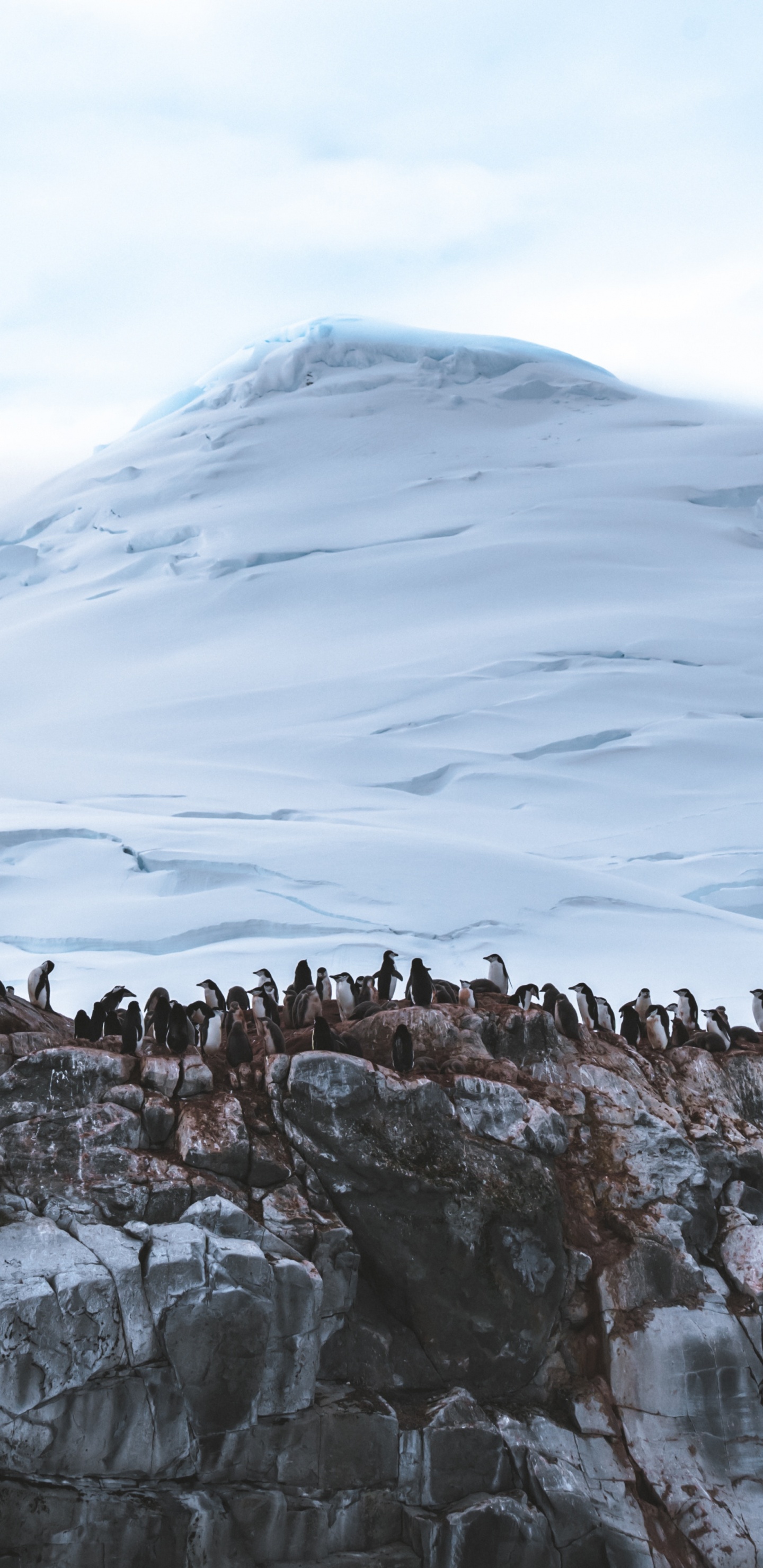 Formación Rocosa Marrón Bajo Nubes Blancas Durante el Día. Wallpaper in 1440x2960 Resolution