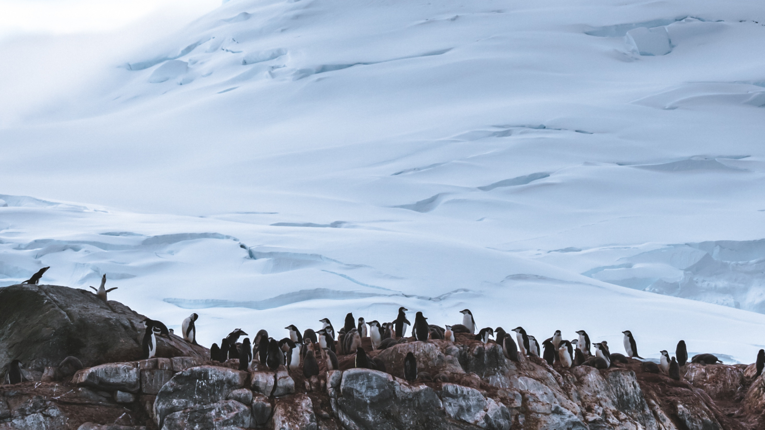 Braune Felsformation Unter Weißen Wolken Tagsüber White. Wallpaper in 2560x1440 Resolution