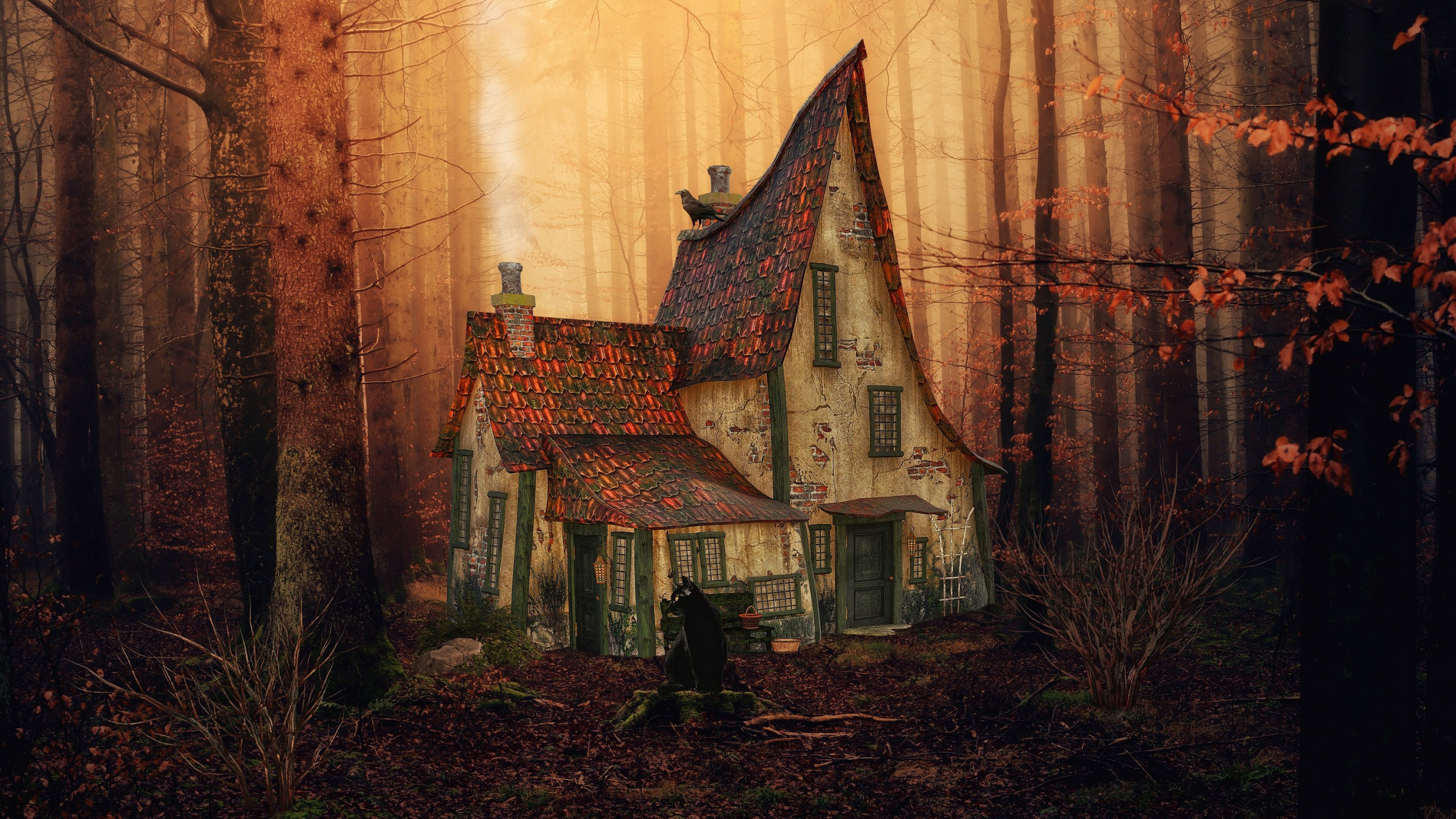 Atmosphère, Fenêtre, Bâtiment, Paysage Naturel, Rameau. Wallpaper in 2560x1440 Resolution