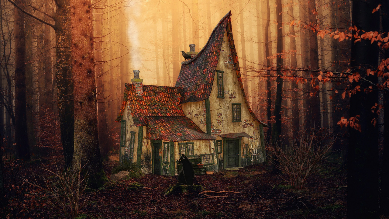 Atmosphere, Plant, Window, Building, Wood. Wallpaper in 1280x720 Resolution