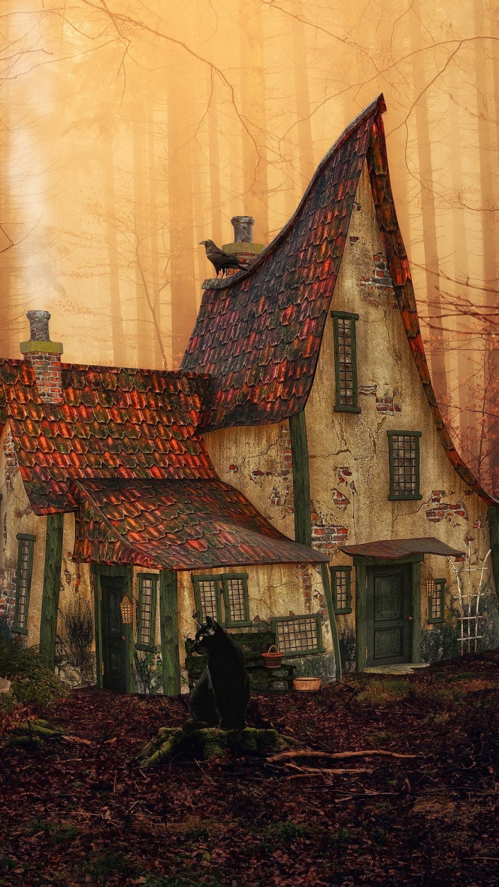 Atmosphere, Plant, Window, Building, Wood. Wallpaper in 720x1280 Resolution