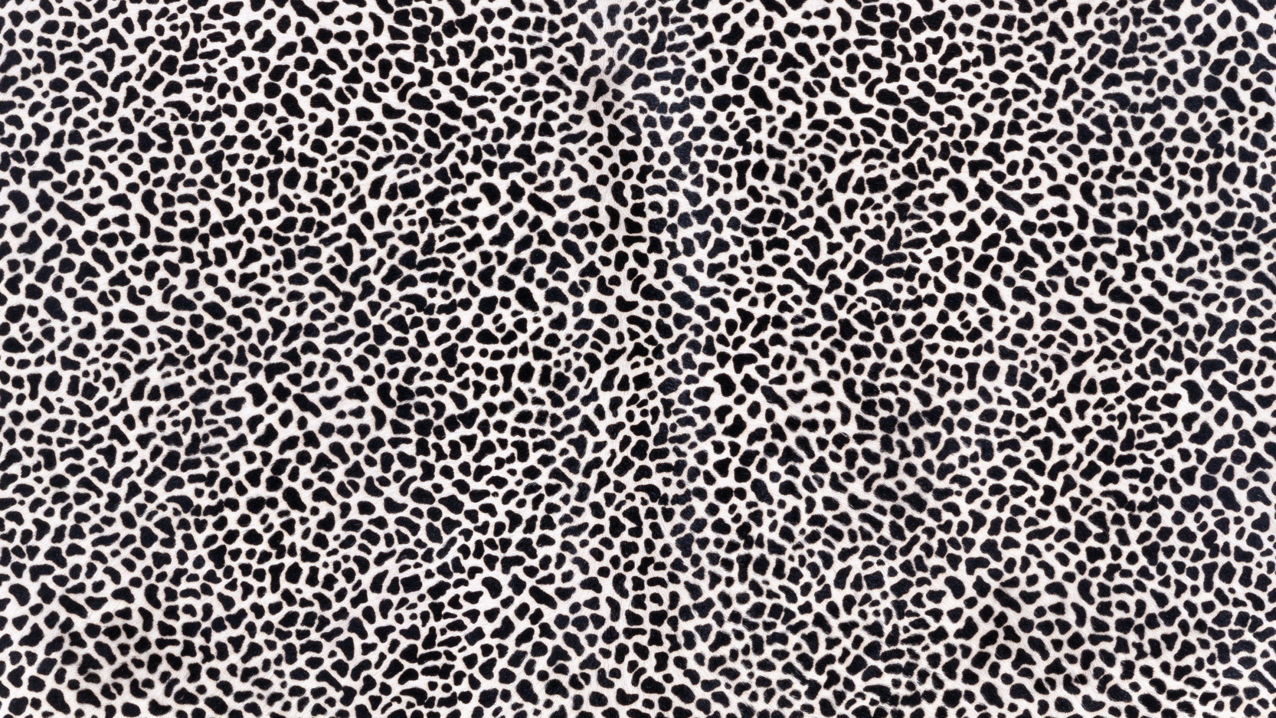 Textile Noir et Blanc en Photographie Rapprochée. Wallpaper in 2560x1440 Resolution