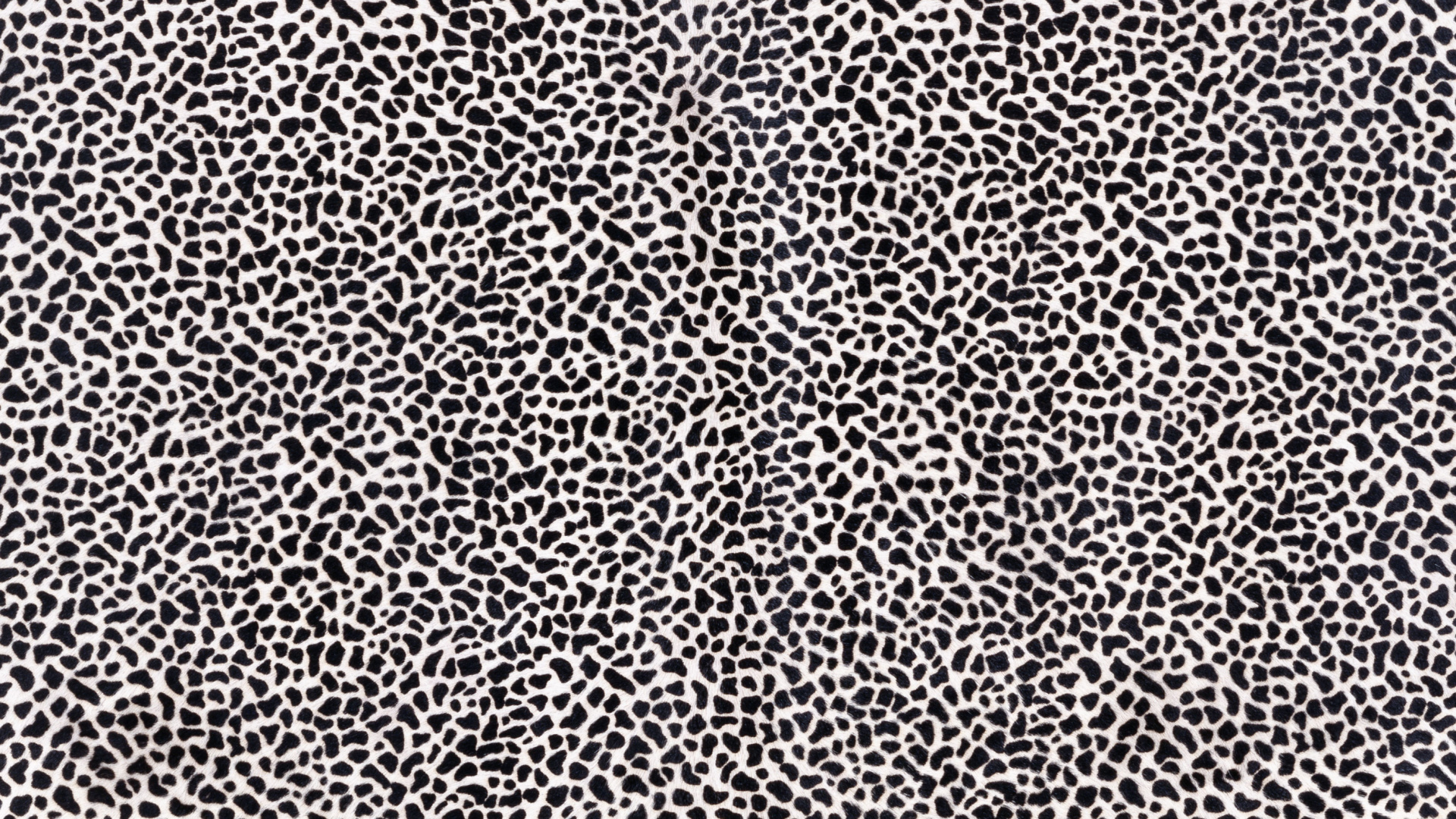 Black and White Textile in Close up Photography. Wallpaper in 1920x1080 Resolution